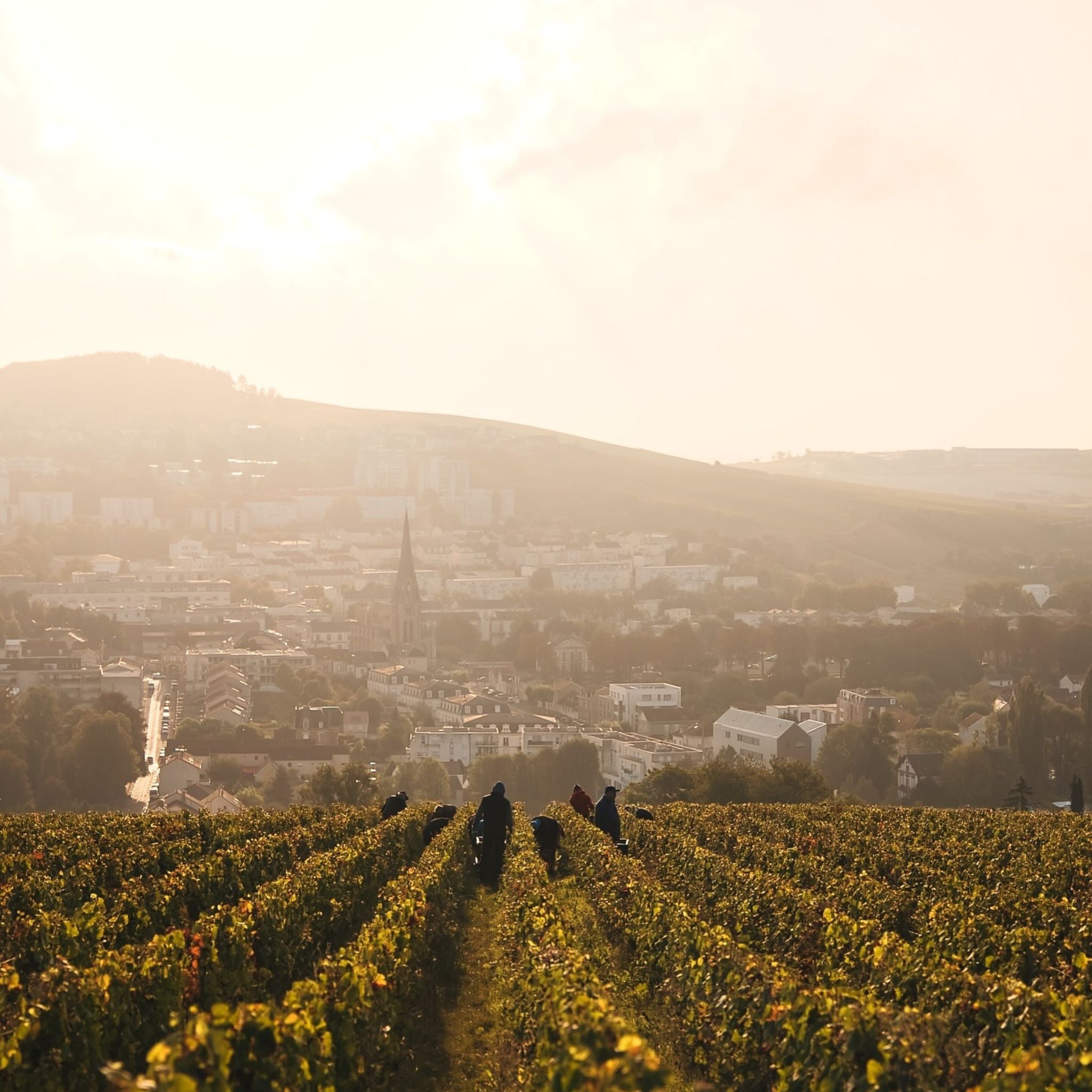 Henriot Brut Souverain NV