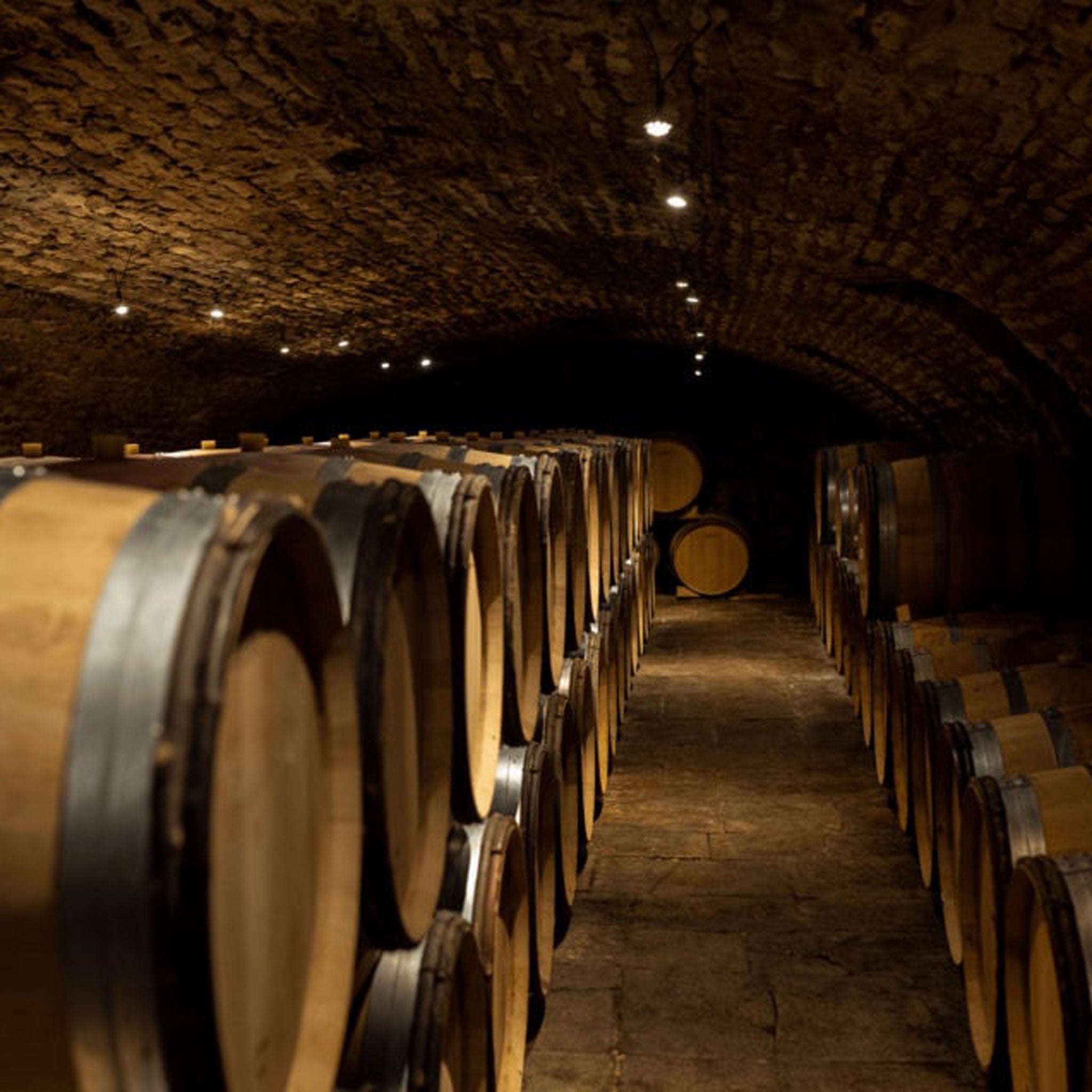 Lucien le Moine Bourgogne Rouge 2021