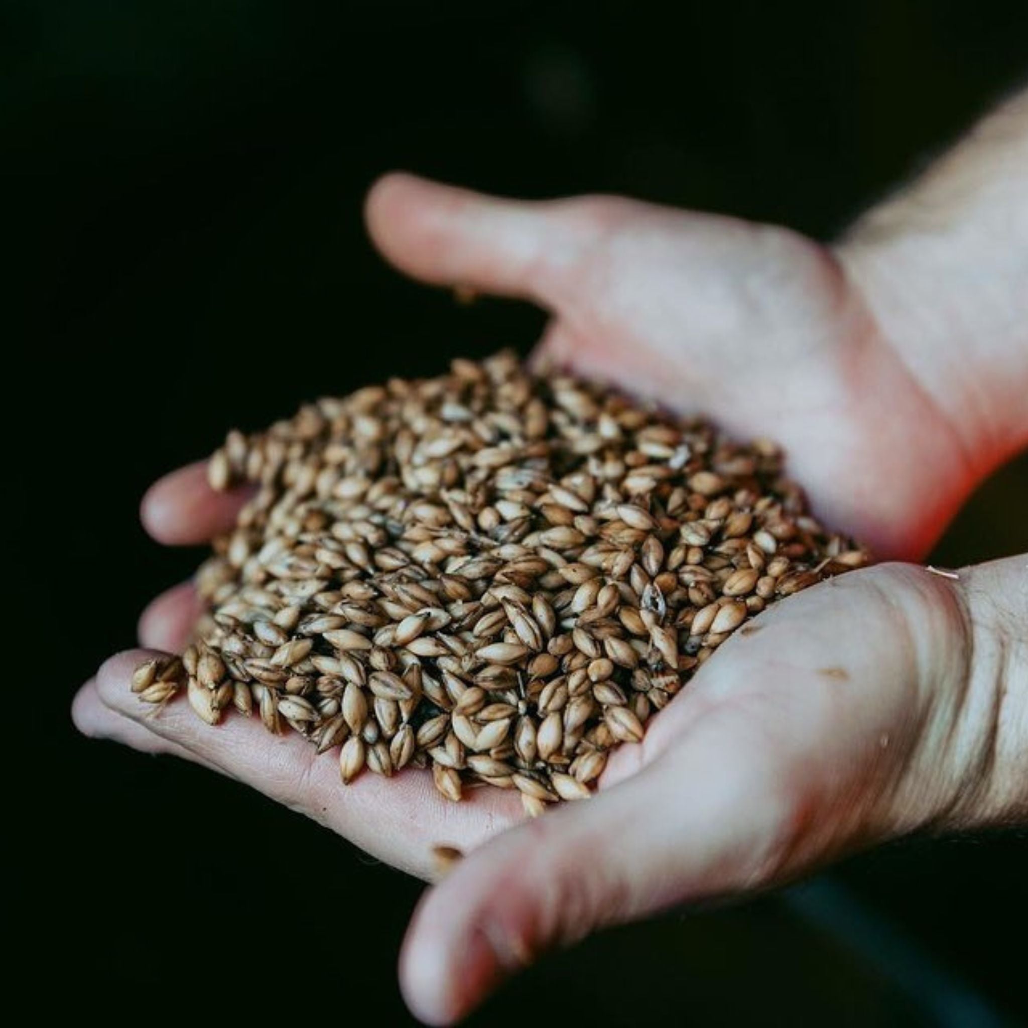 Glengyle Distillery Kilkerran Heavily Peated Cask Strength Single Malt Scotch Whisky 700ml (Batch 10)