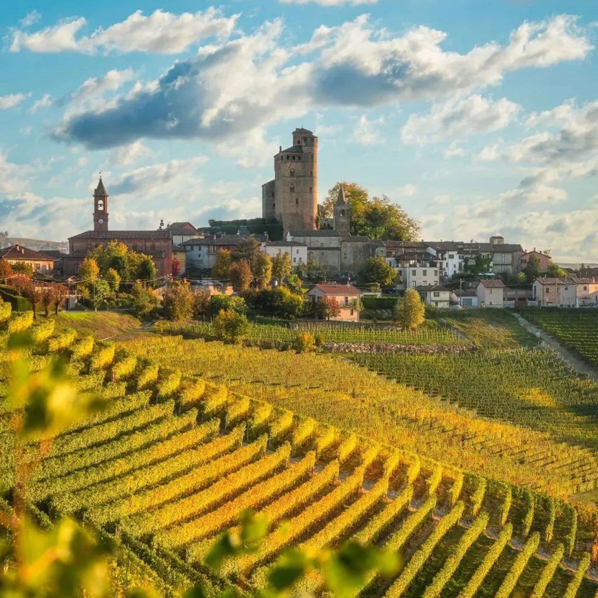 Massolino Barolo 2021