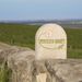 Perrier-Jouët Grand Brut NV - Kent Street Cellars