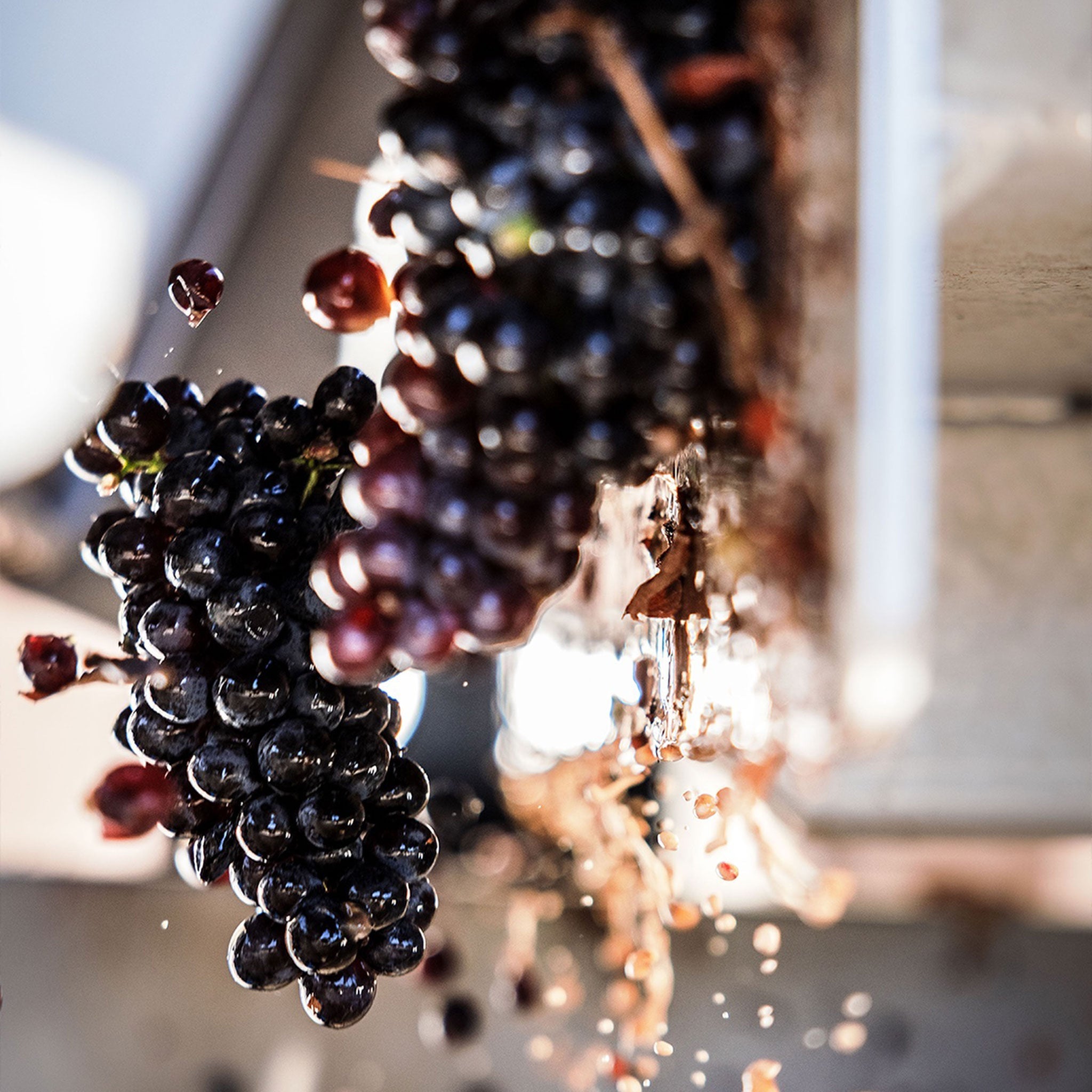 Minuty Prestige Rosé 2024