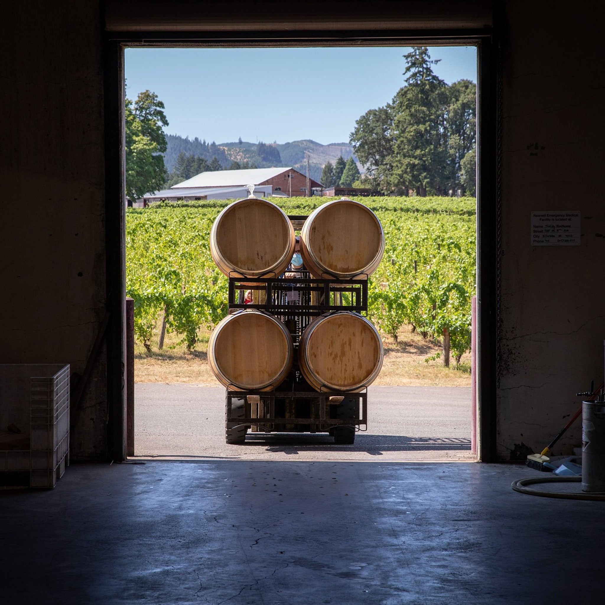 Philosophy | Montinore Estate