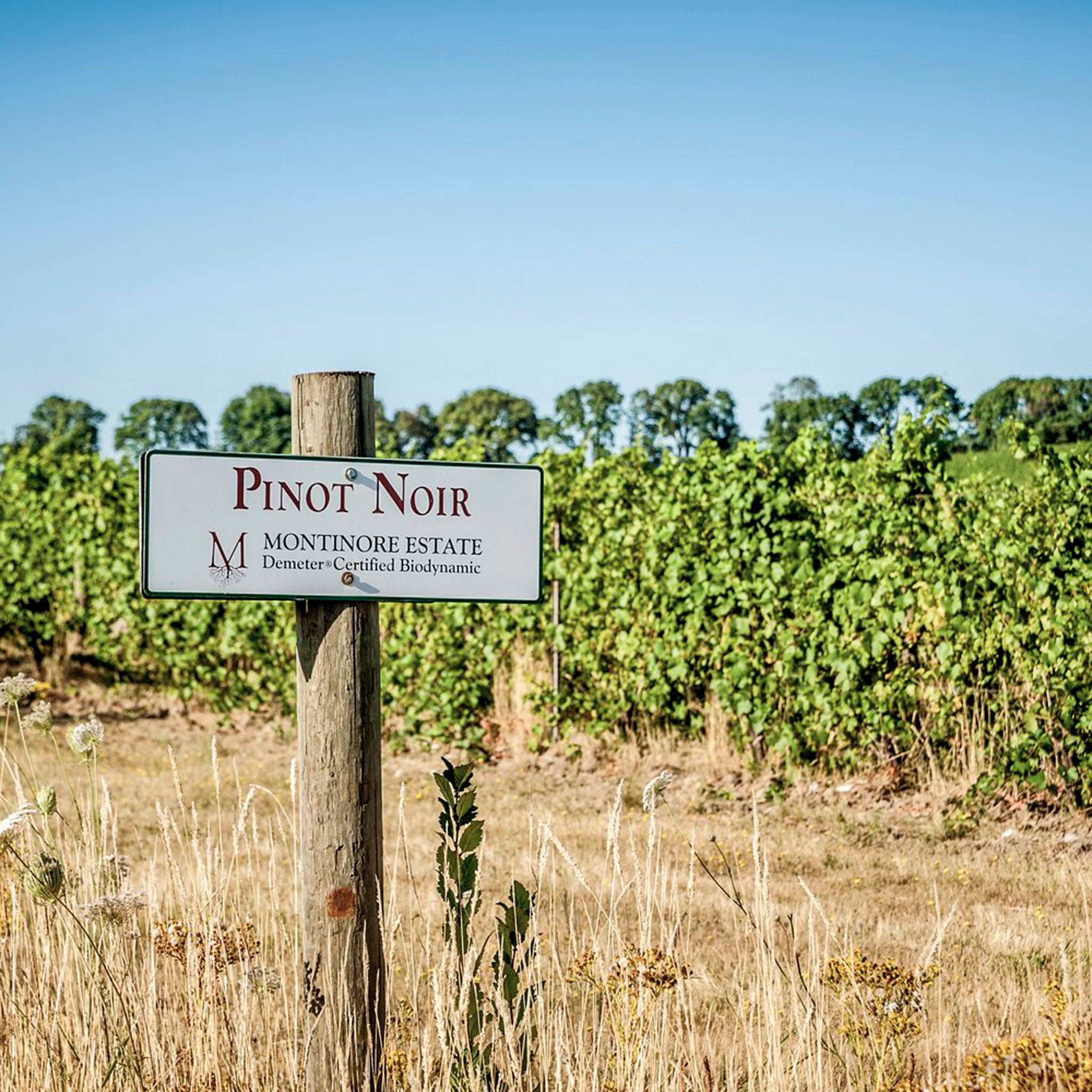 Montinore Estate Reserve Pinot Noir 2019