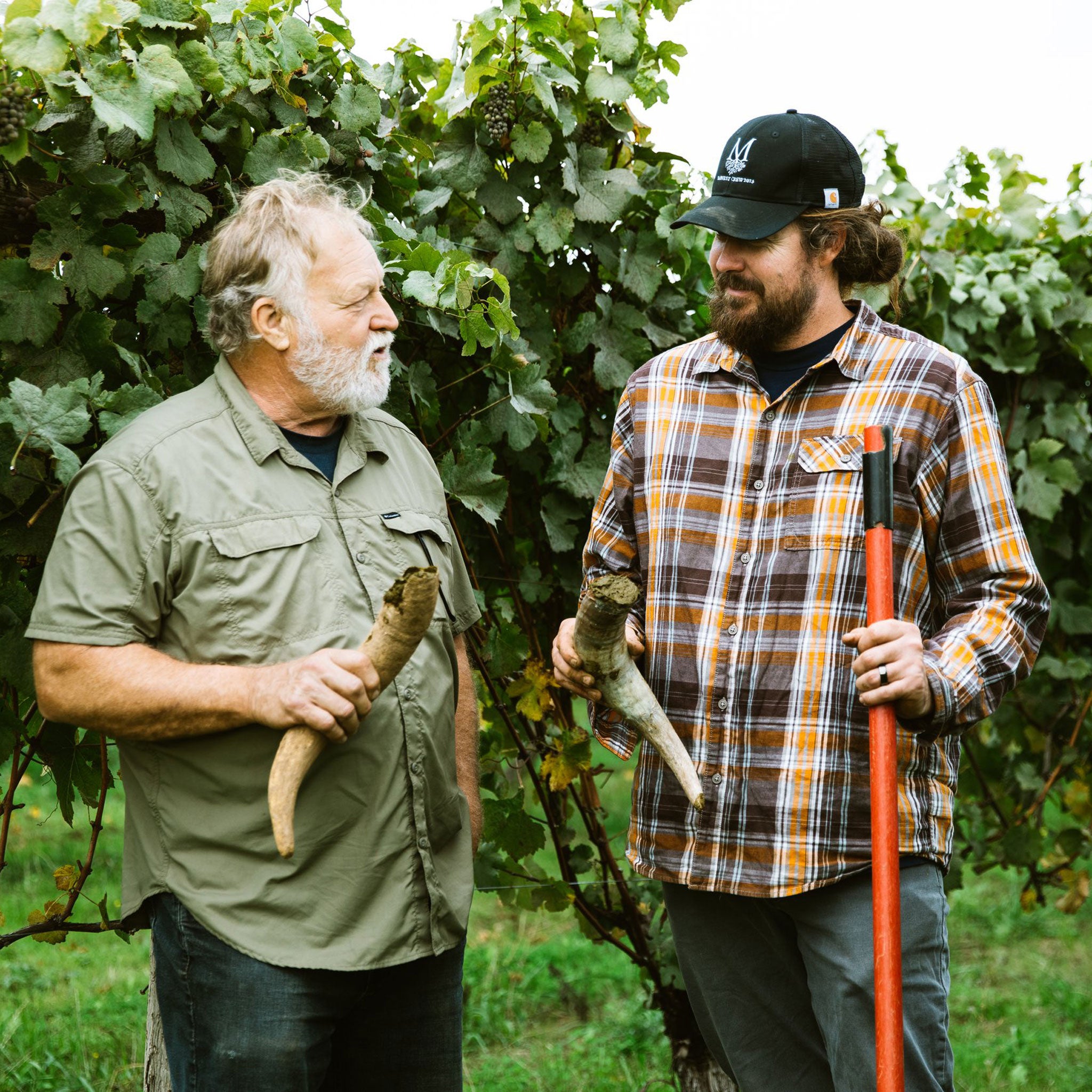 Montinore Estate Reserve Pinot Noir 2019