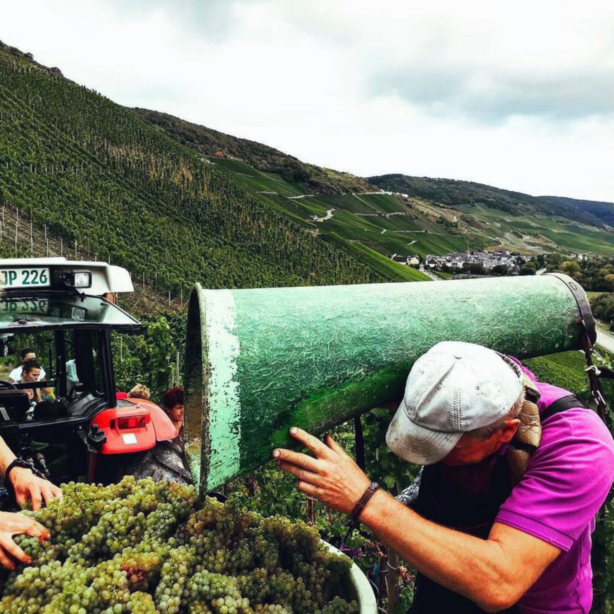 Joh Jos Prüm Bernkasteler Badstube Riesling Kabinett 2022