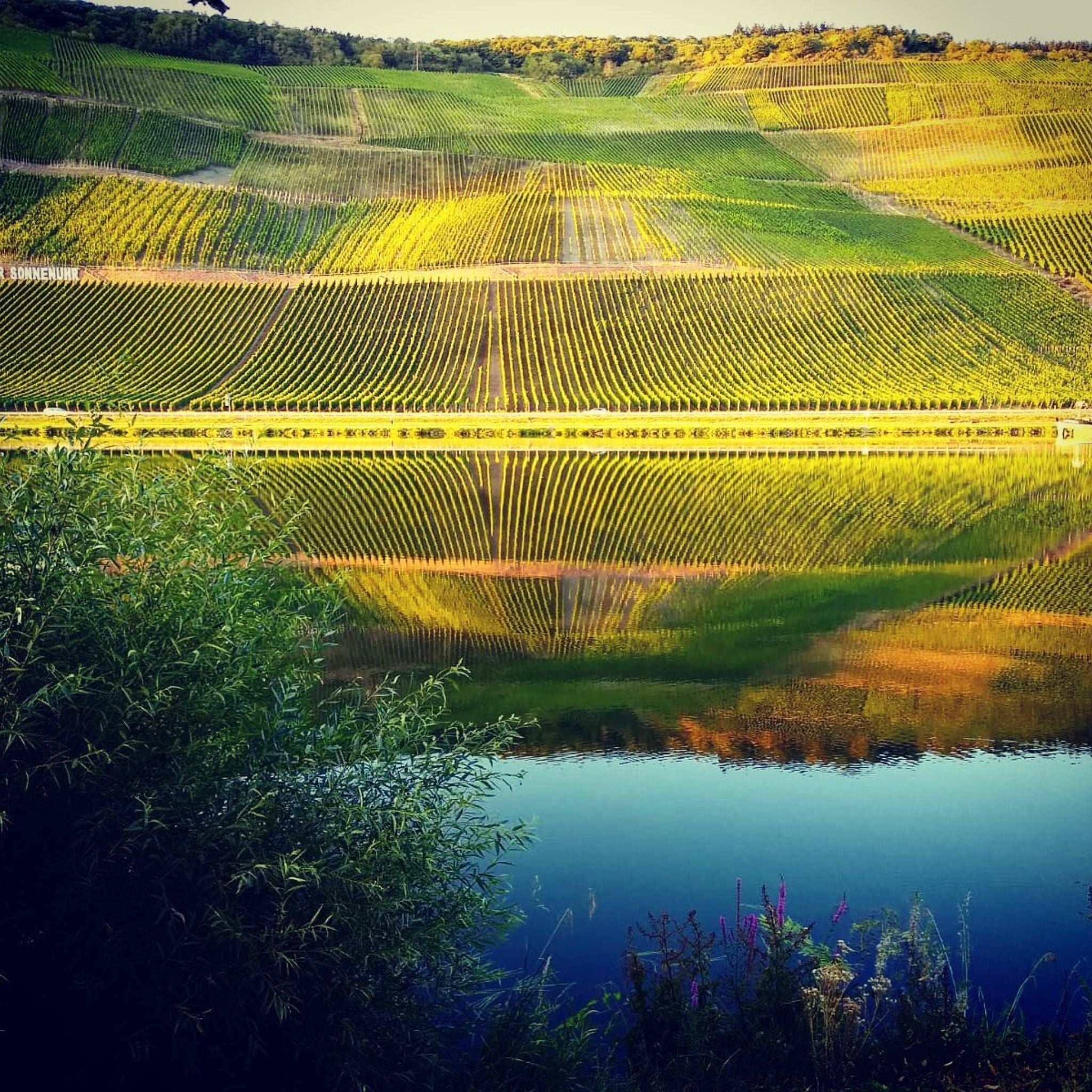 Joh Jos Prüm Graacher Himmelreich Riesling Spätlese 2023 1.5L