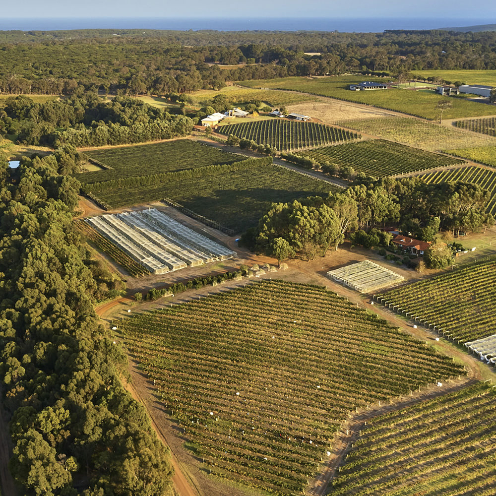 Moss Wood Chardonnay 2022 - Kent Street Cellars
