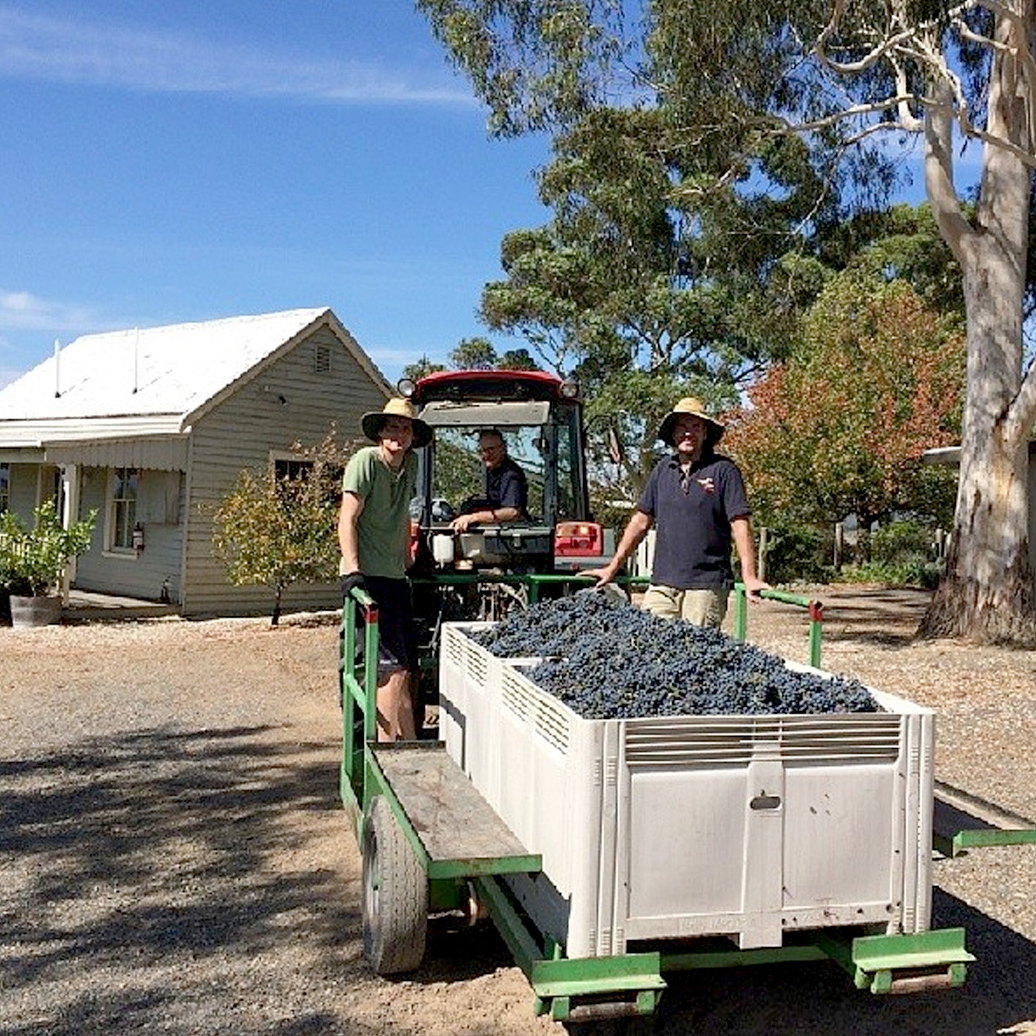 Mount Mary Reflexion Syrah 2022