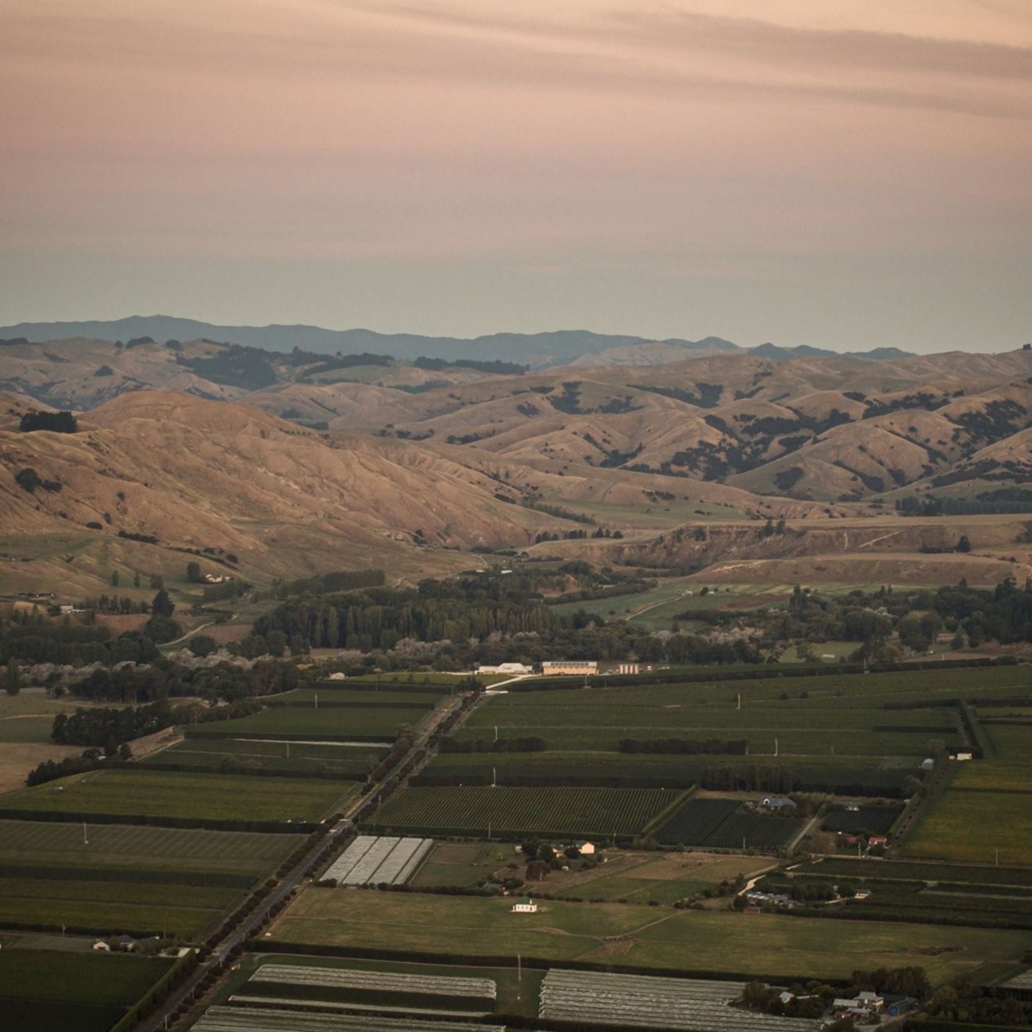 The Vineyard | Te Kairanga