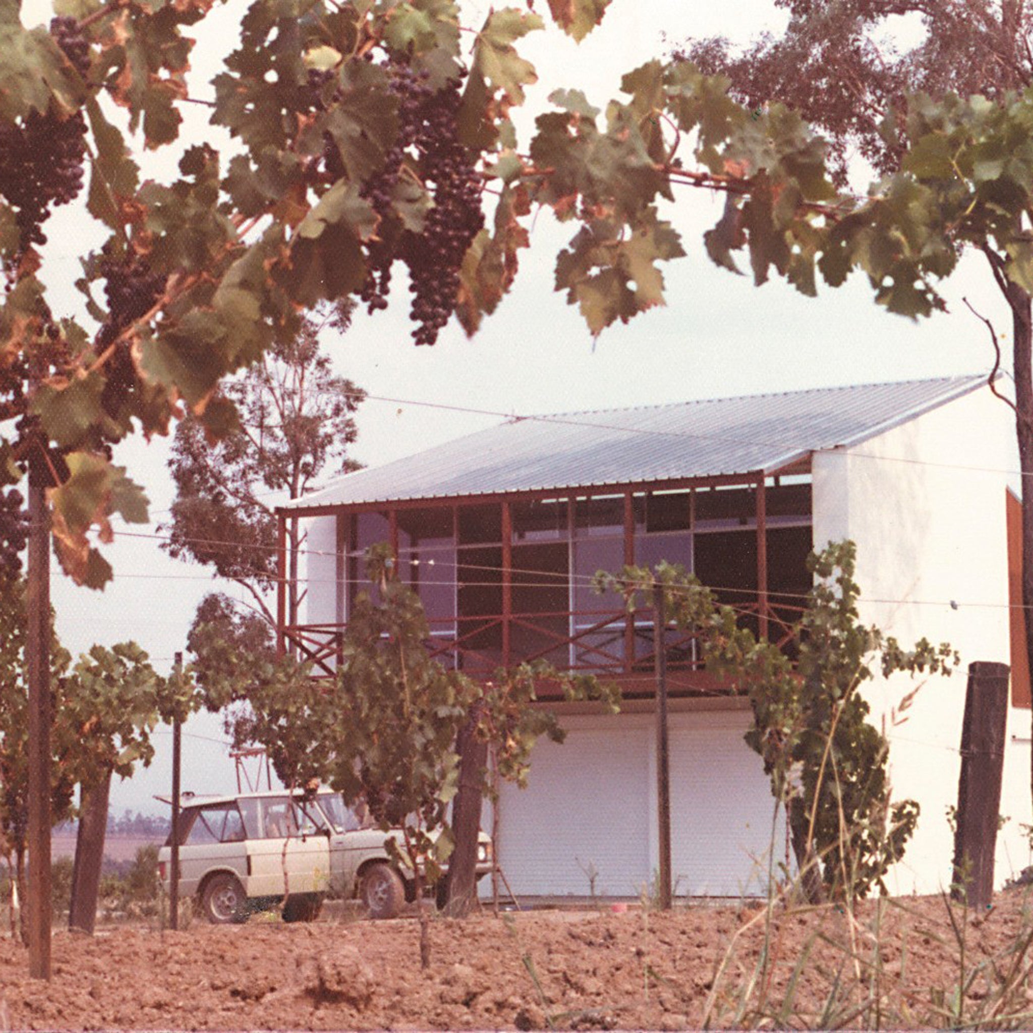 Brokenwood Graveyard Shiraz 2018