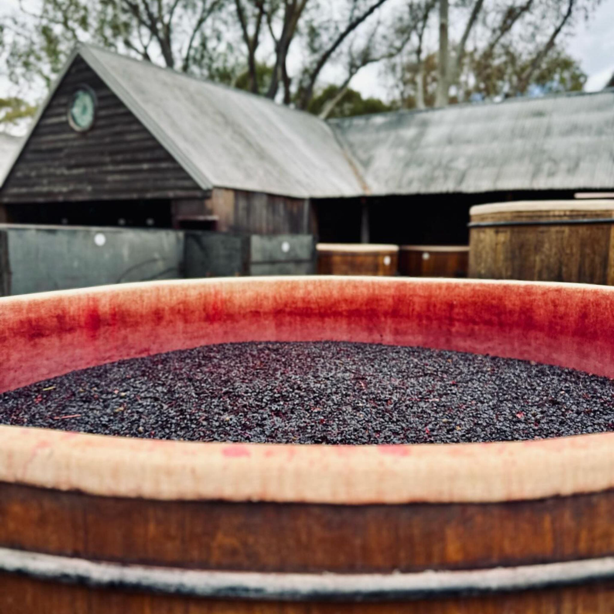 Rockford Rifle Range Cabernet Sauvignon 2012