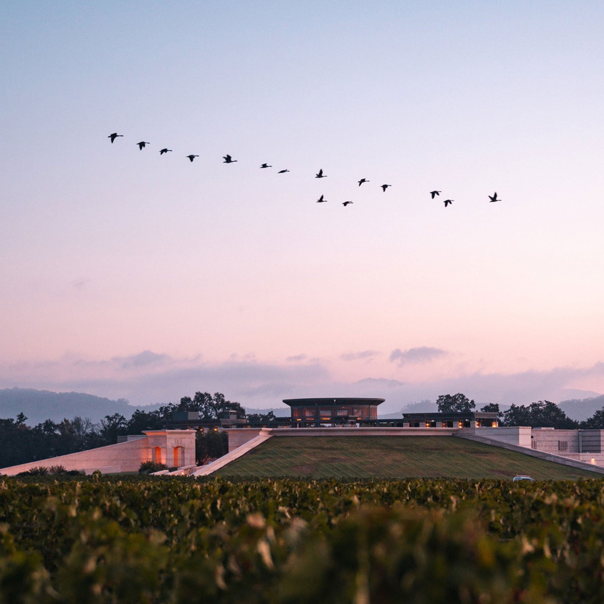 Opus One