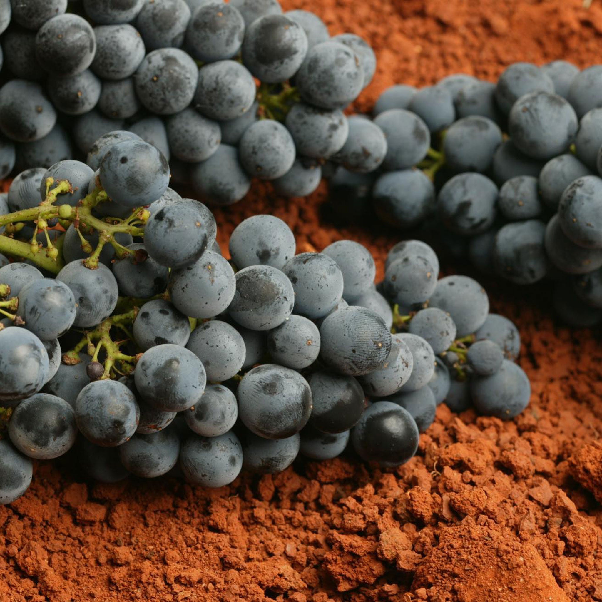 Parker Coonawarra Estate First Growth Cabernet Sauvignon 2020