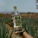 818 Tequila Blanco 700ml - Kent Street Cellars