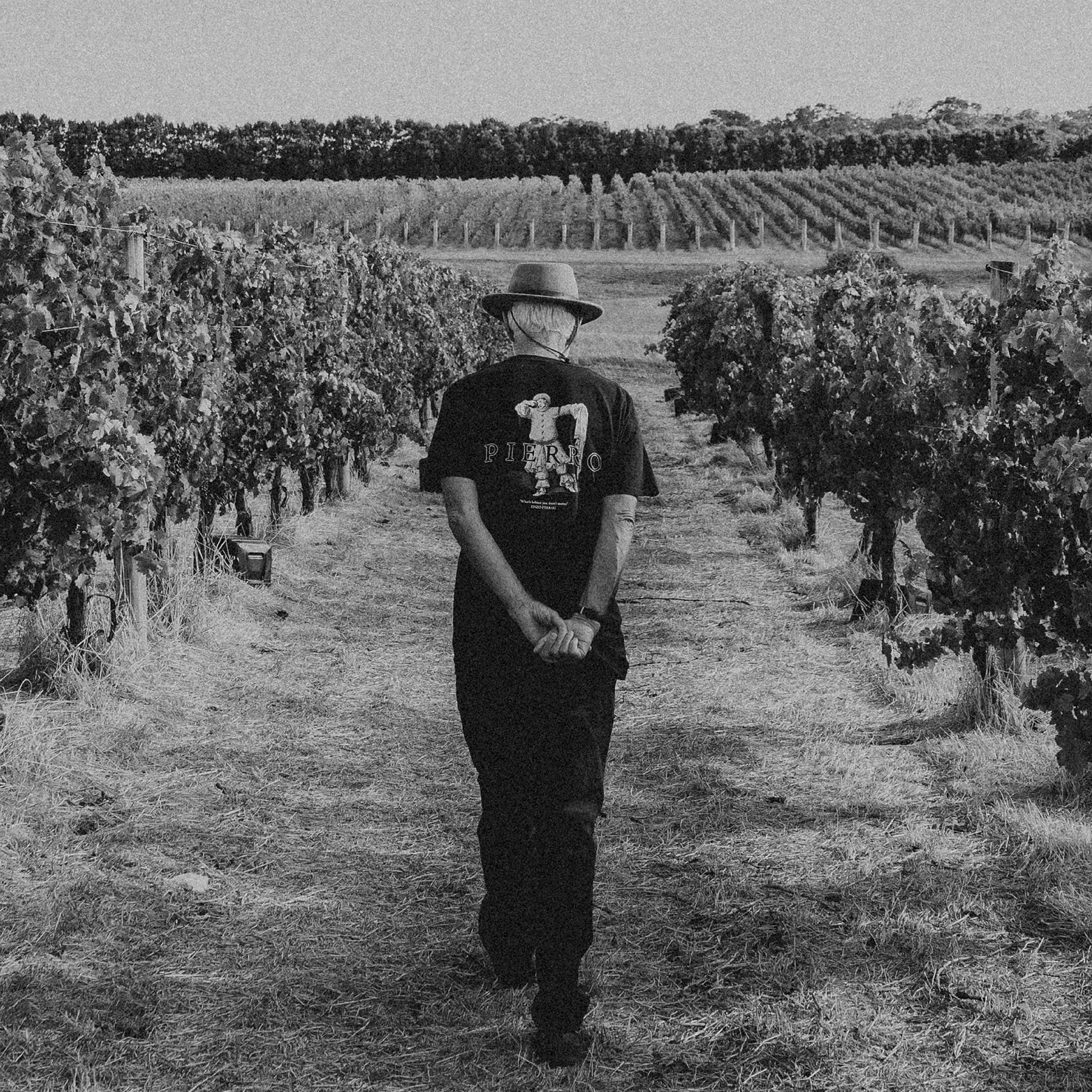 Pierro | Fire Gully