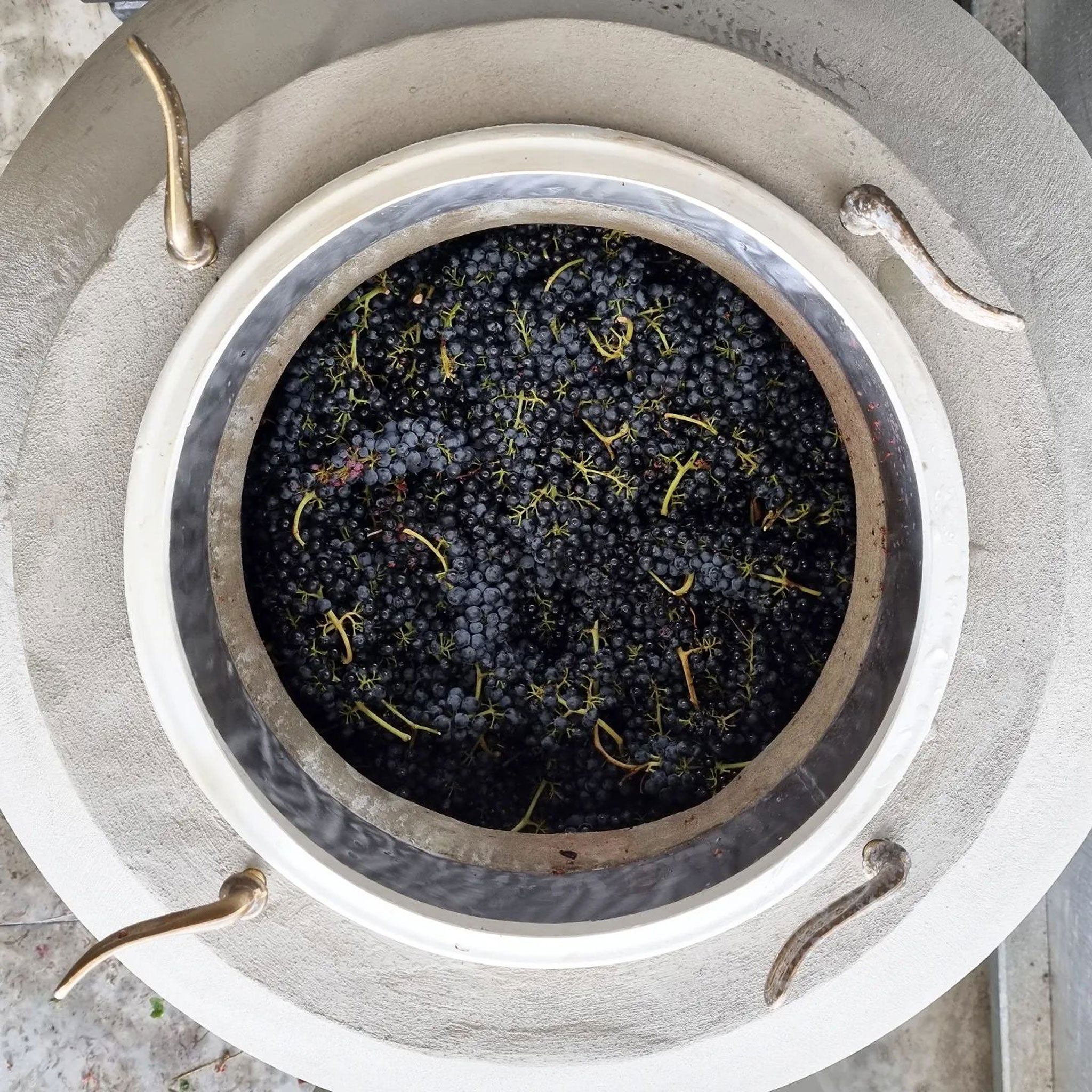 Place of Changing Winds Tradition Red 2022