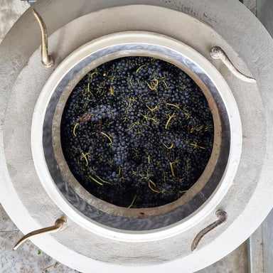 Place of Changing Winds Beyond The Forest Pinot Noir 2022 - Kent Street Cellars