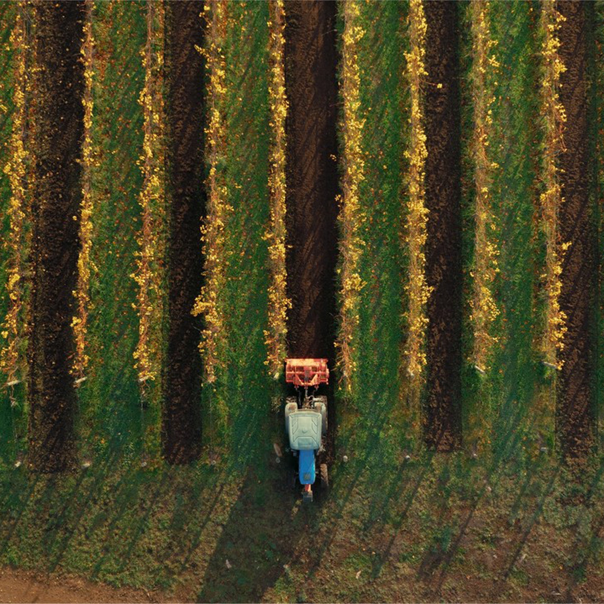 Bubb + Pooley Pinot Noir 2024 1.5L