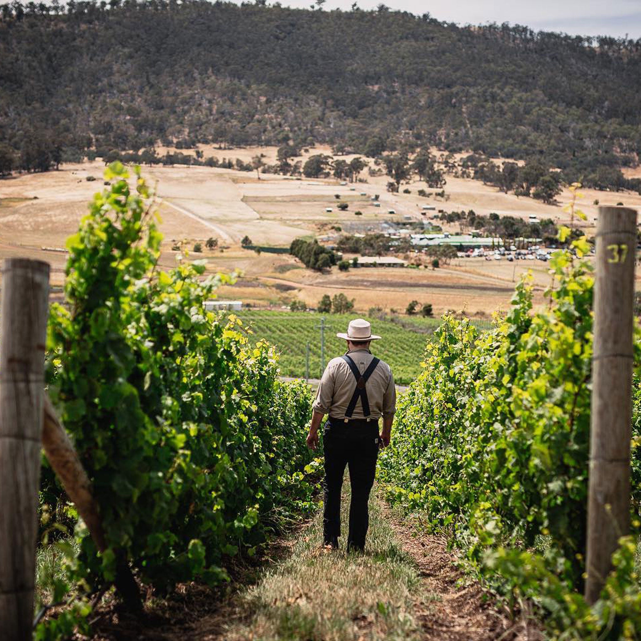 Pressing Matters Pinot Noir 2021