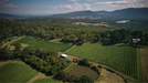 Giant Steps Primavera Vineyard Pinot Noir 2022 - Kent Street Cellars