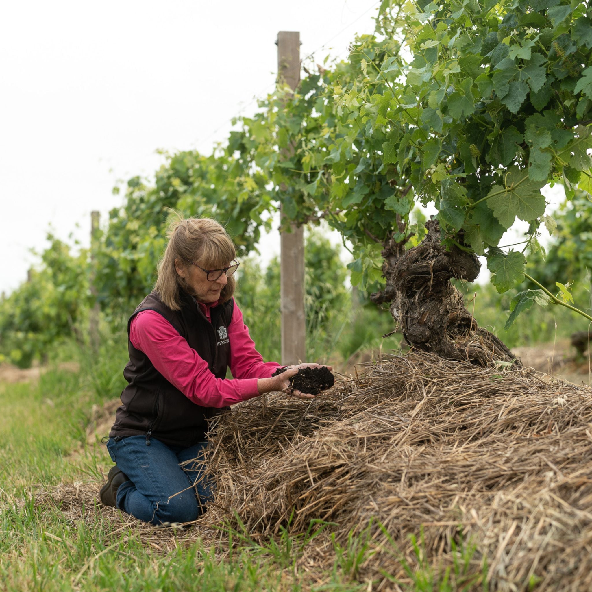 Henschke Hill of Grace Shiraz 2010