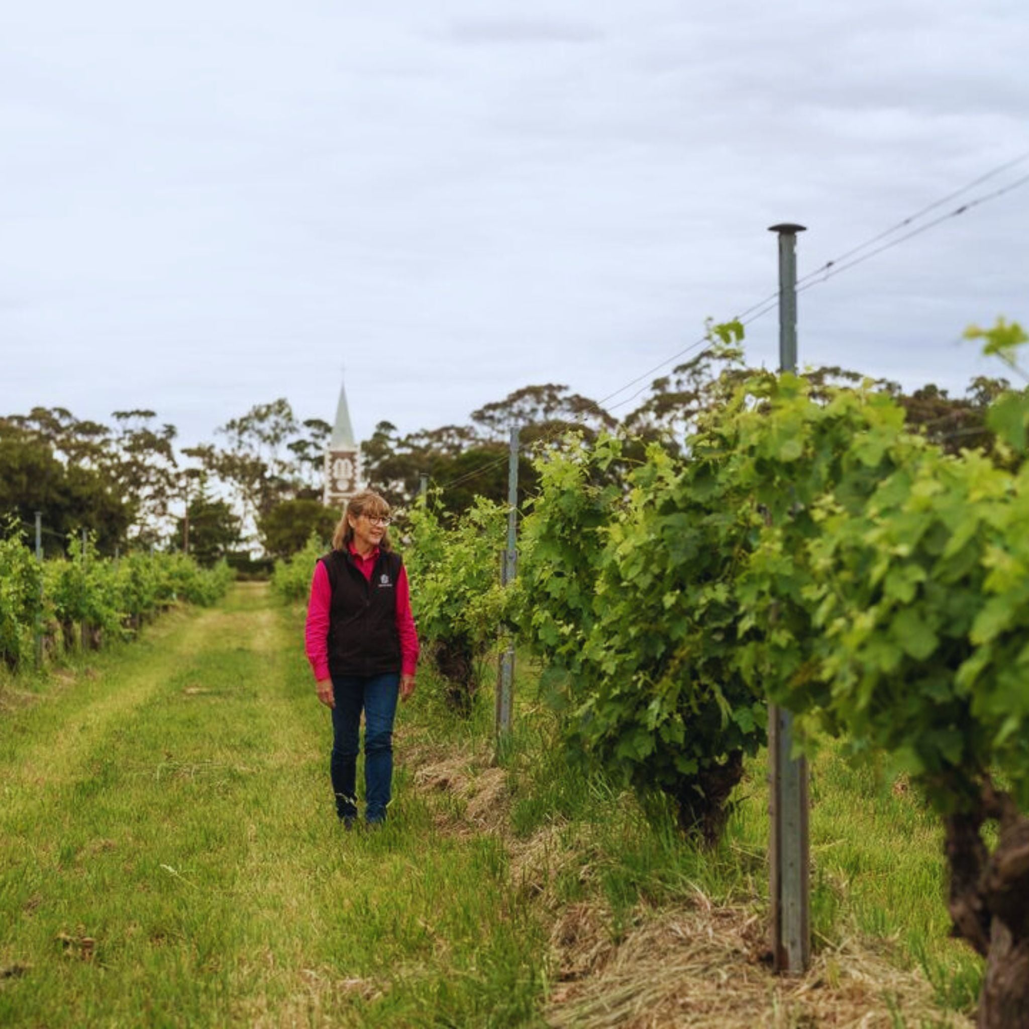 Henschke Hill of Grace Shiraz 2012