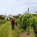 Prue Henschke at Hill of Grace - Kent Street Cellars