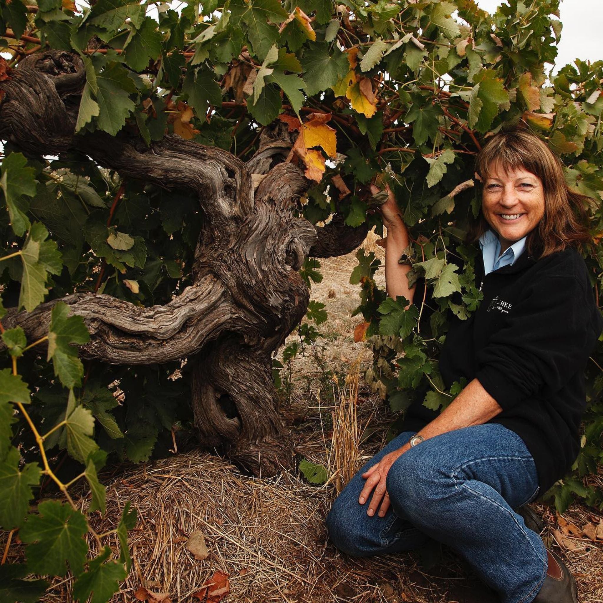Henschke George 5th Grenache 2022