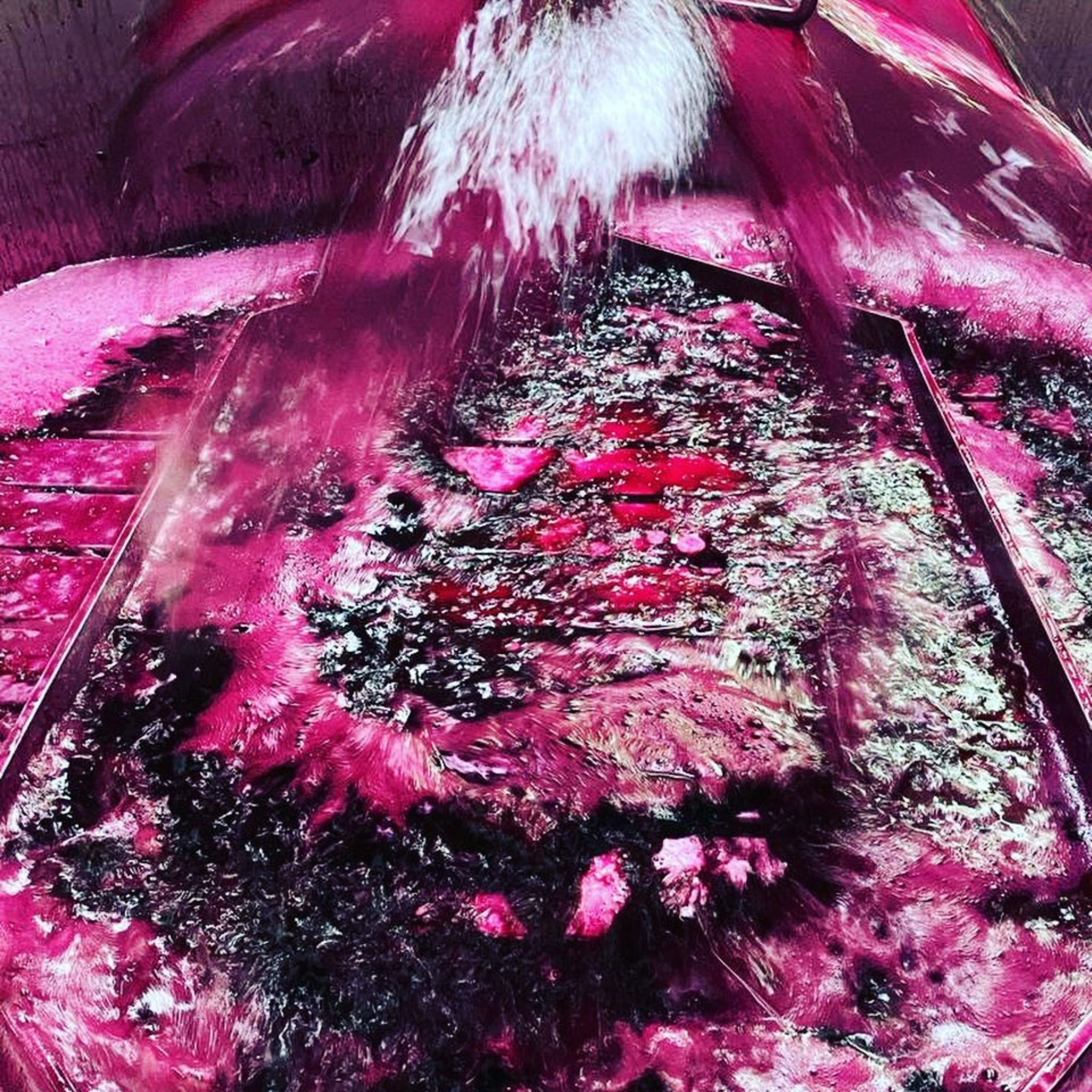 Henschke George 5th Grenache 2022