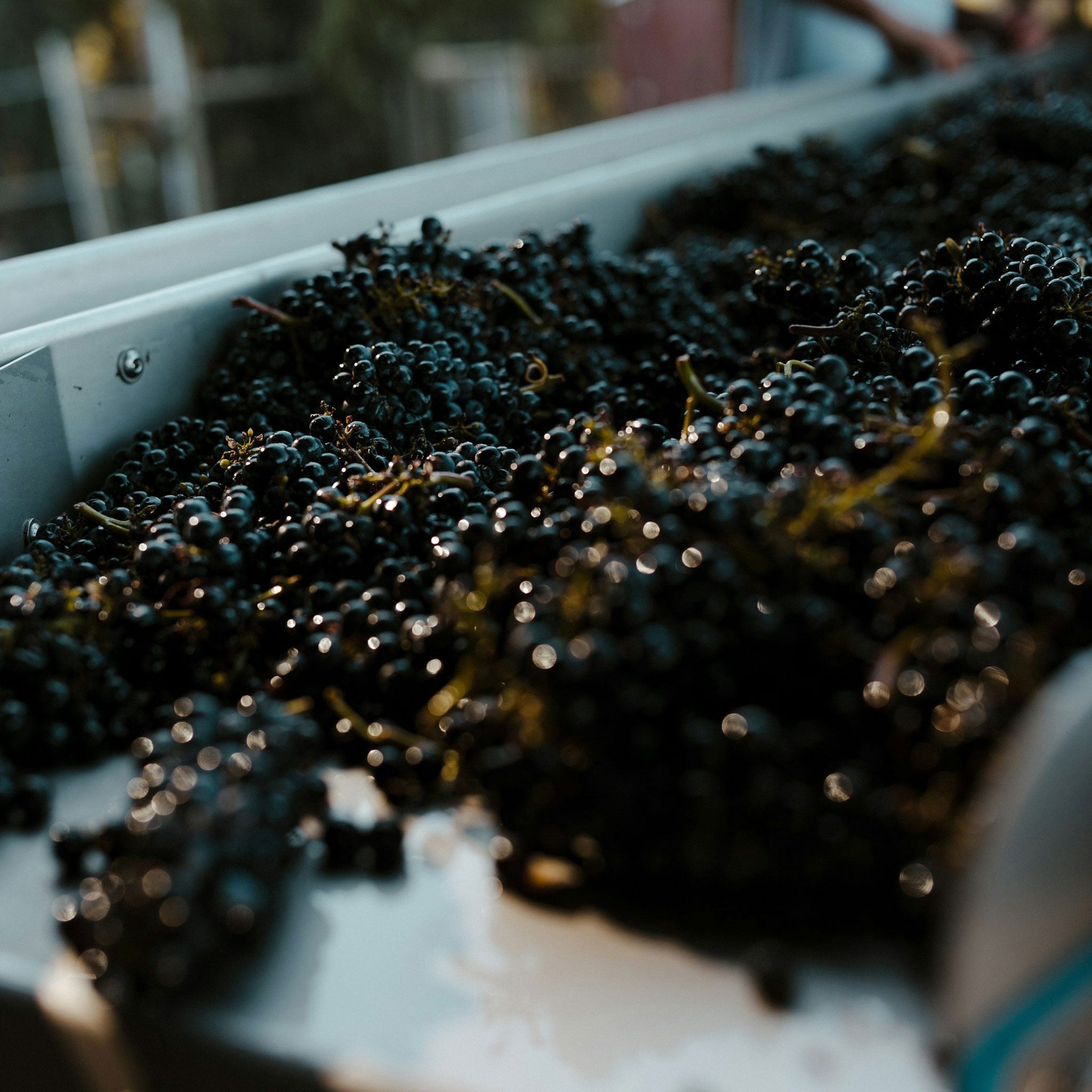 Rockford Moppa Springs Grenache Mataro Shiraz 2021