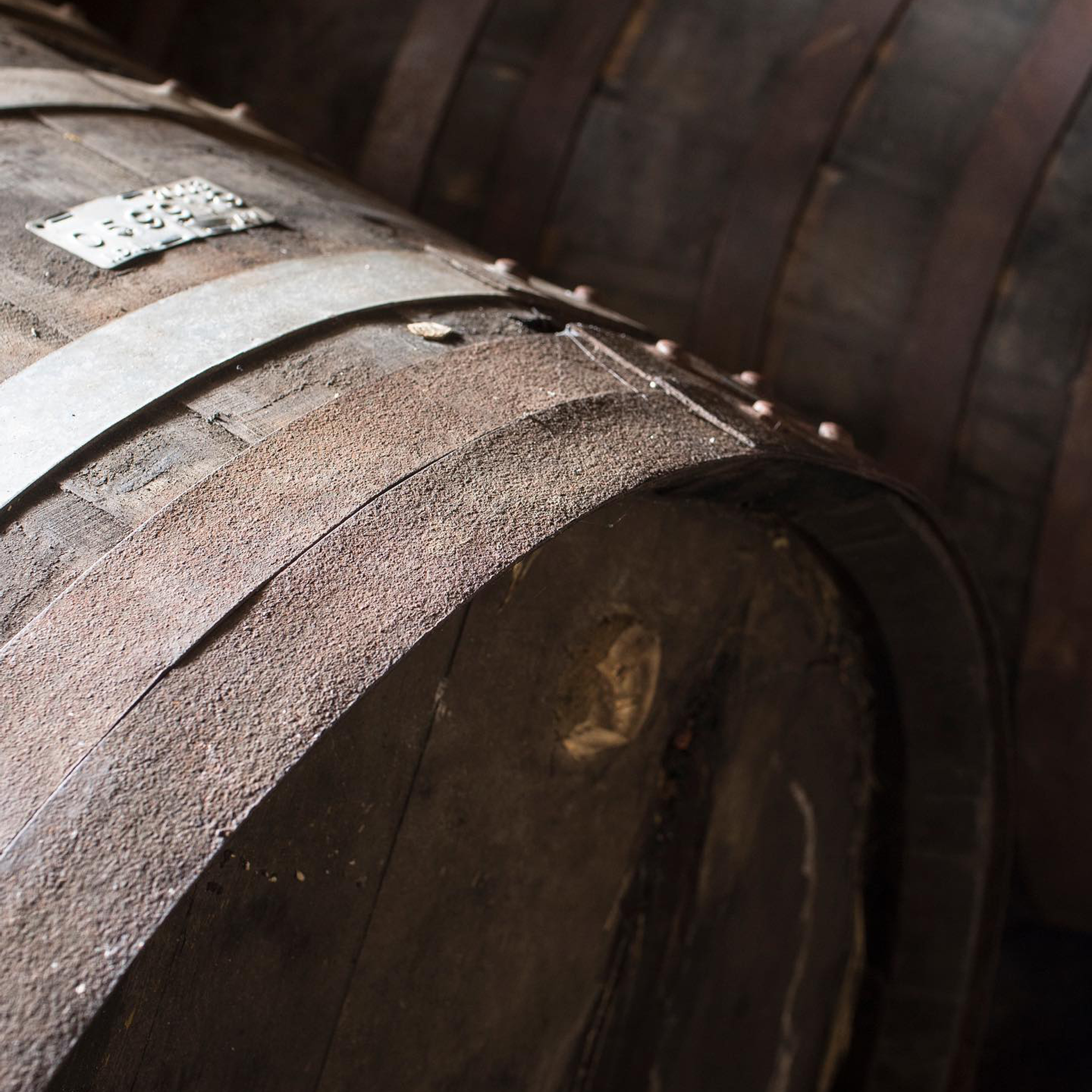 Philosophy | Rebreast