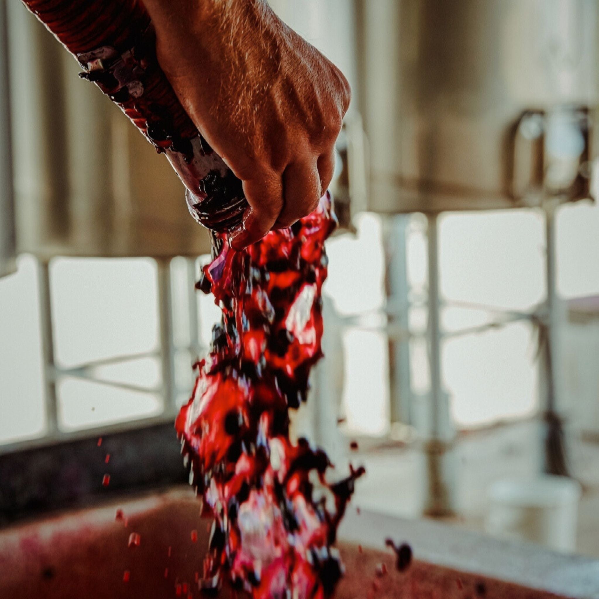 Torbreck The Steading 2017 1.5L