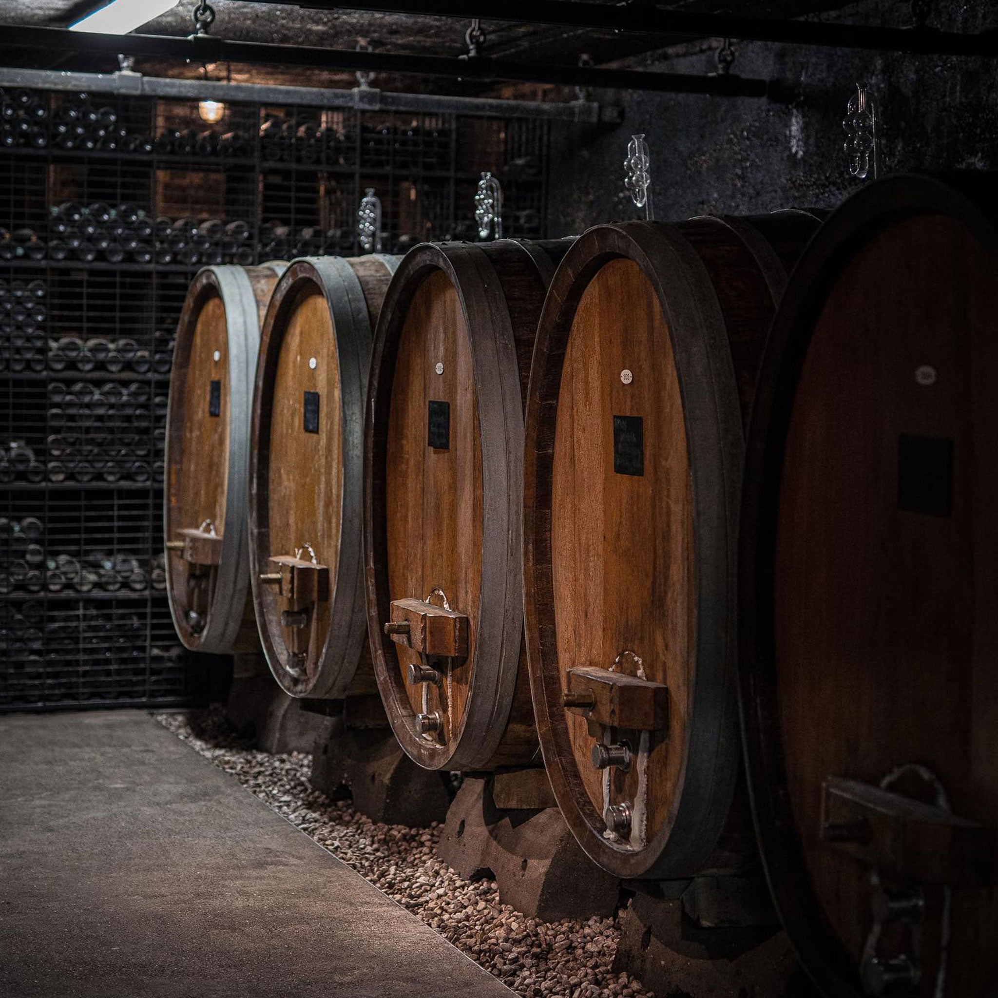 Robert Weil Monte Vacano Riesling Trocken 2021