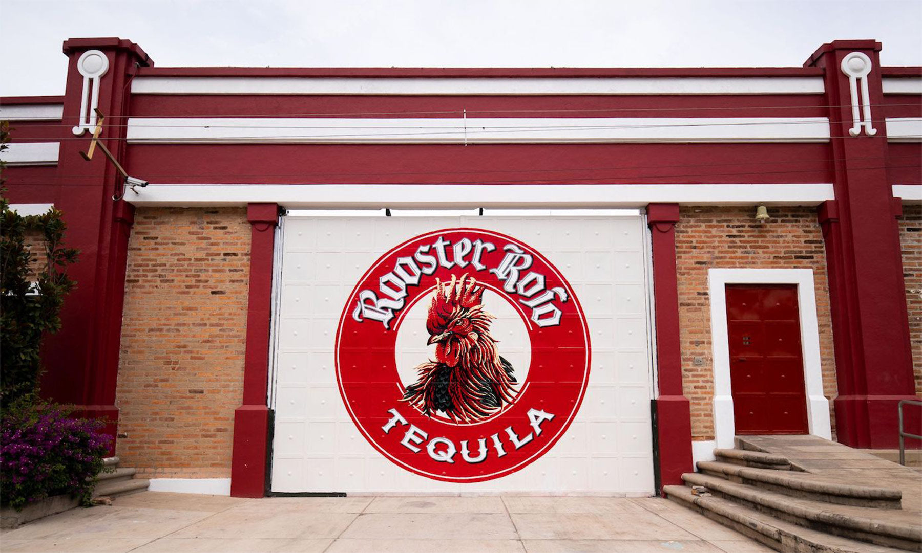 Rooster Rojo