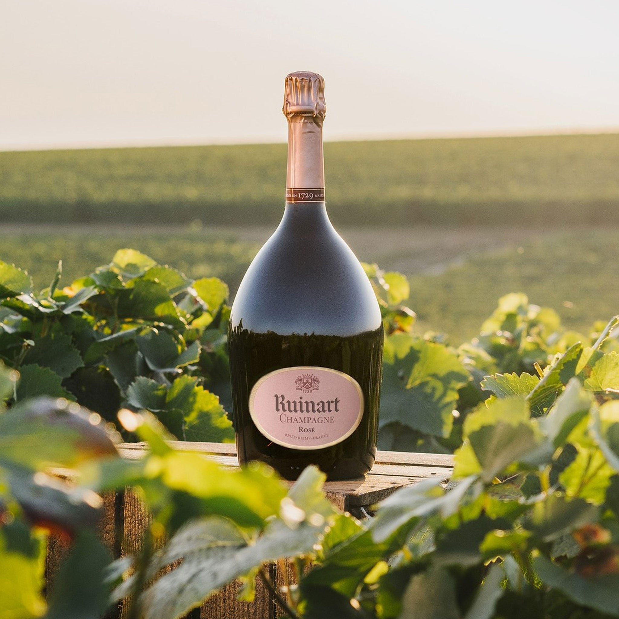 Ruinart Rosé 1.5L
