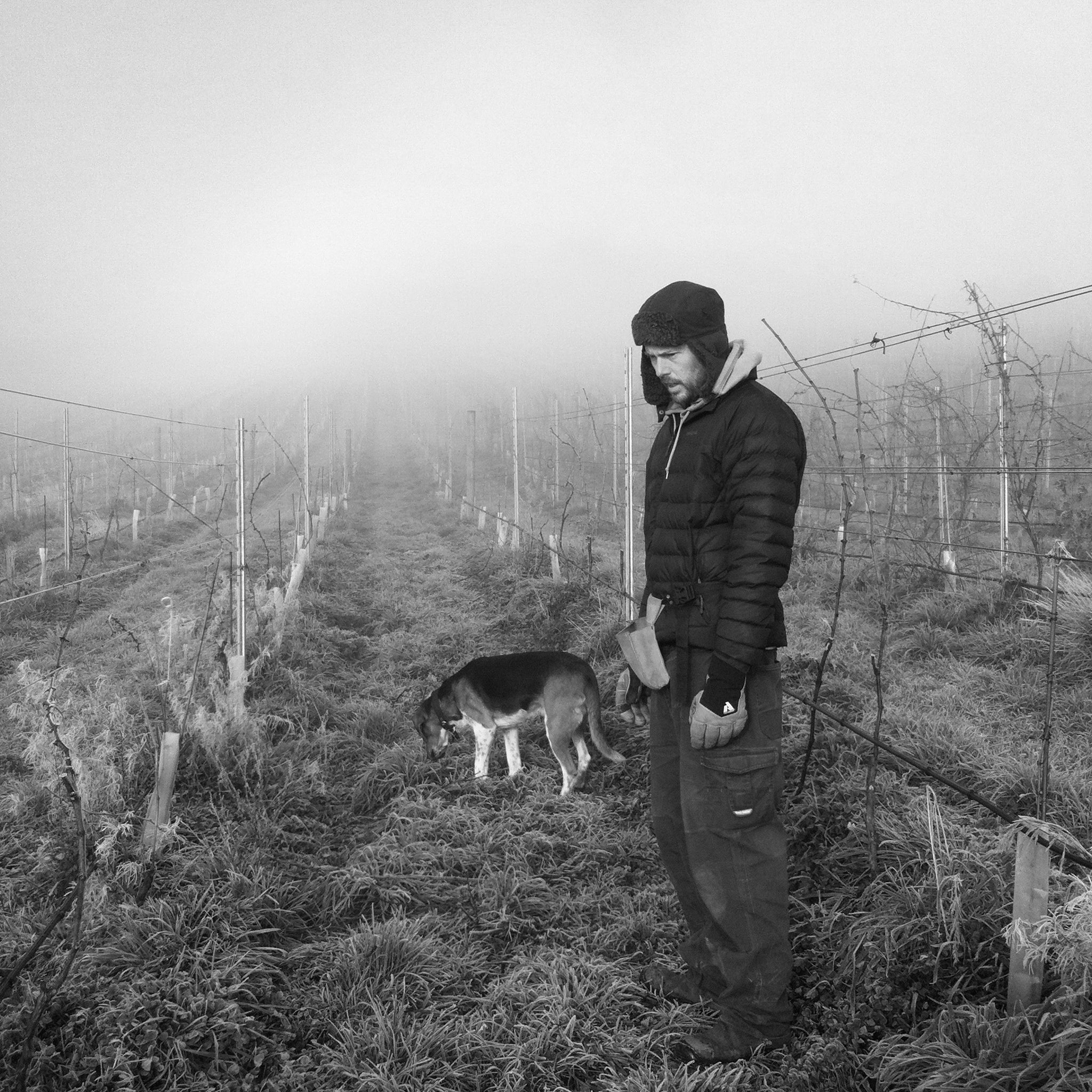 Sailor Seeks Horse Dijon Clone Pinot Noir 2023