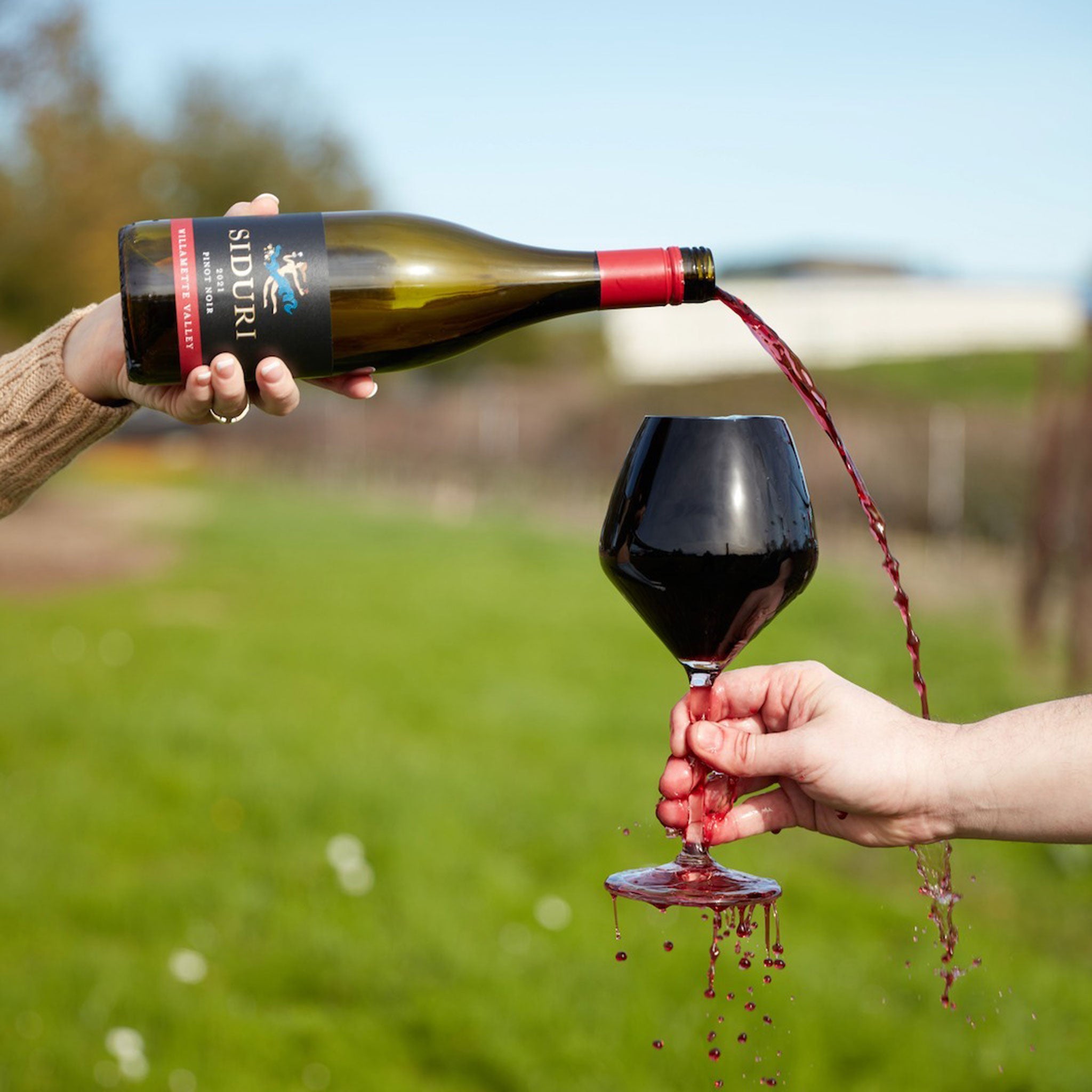 Siduri Russian River Pinot Noir 2021