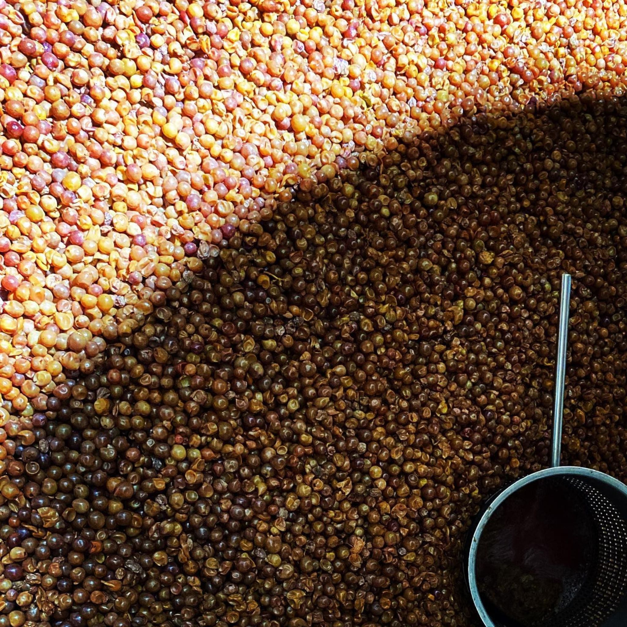 Domaine Weinbach Alsace Grand Cru Schlossberg Cuvée Sainte Catherine Riesling 2022