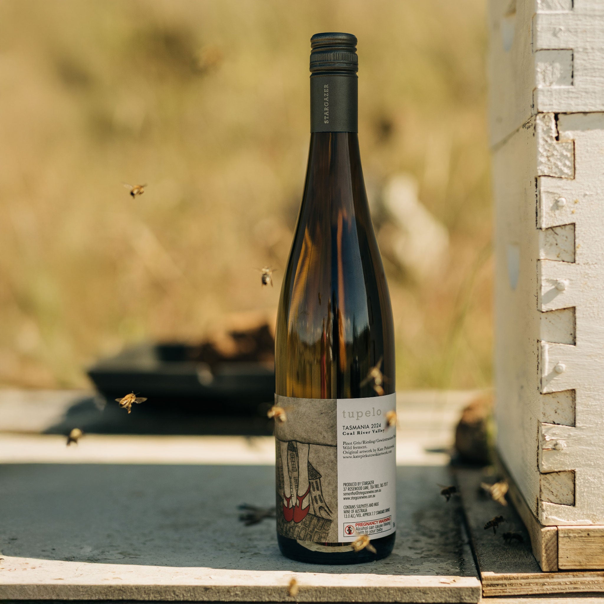 Stargazer Tupelo 2024