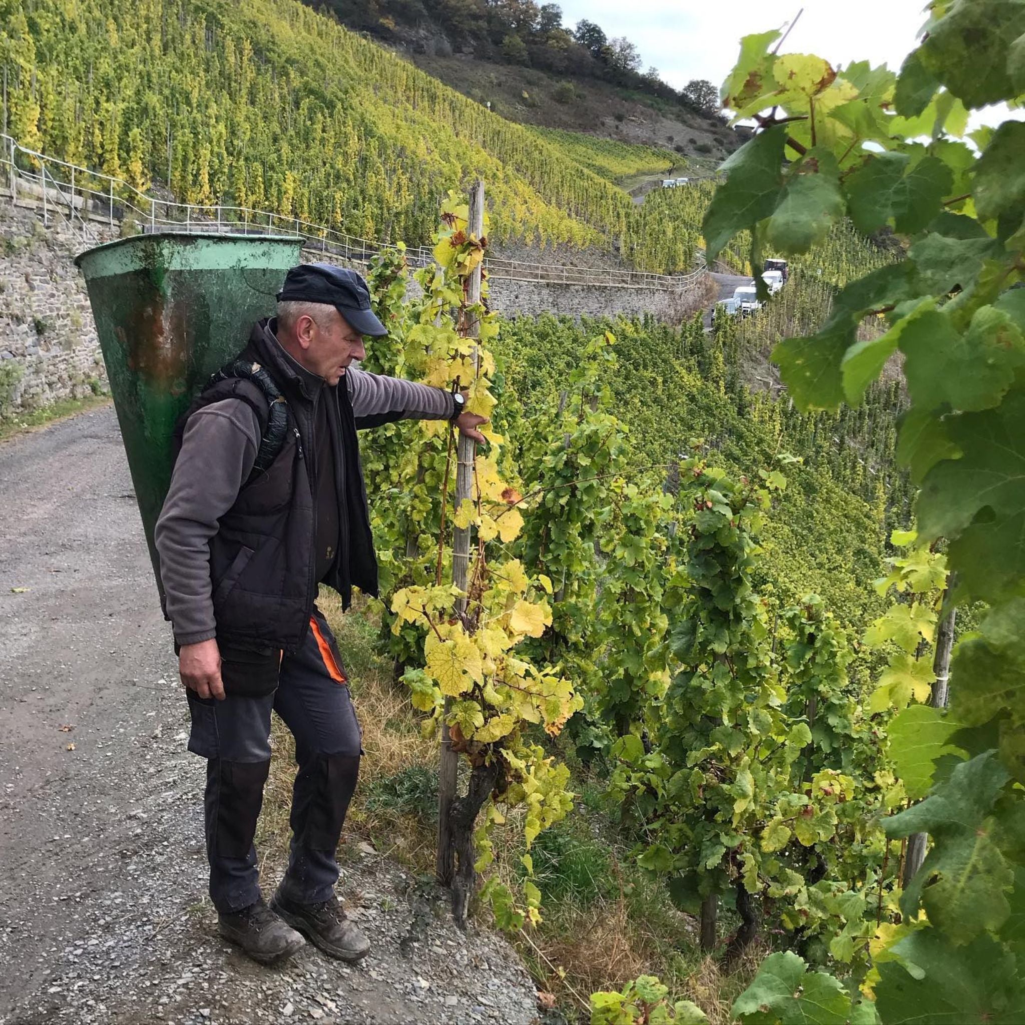 Joh Jos Prüm Graacher Himmelreich Riesling Auslese 2022 1.5L