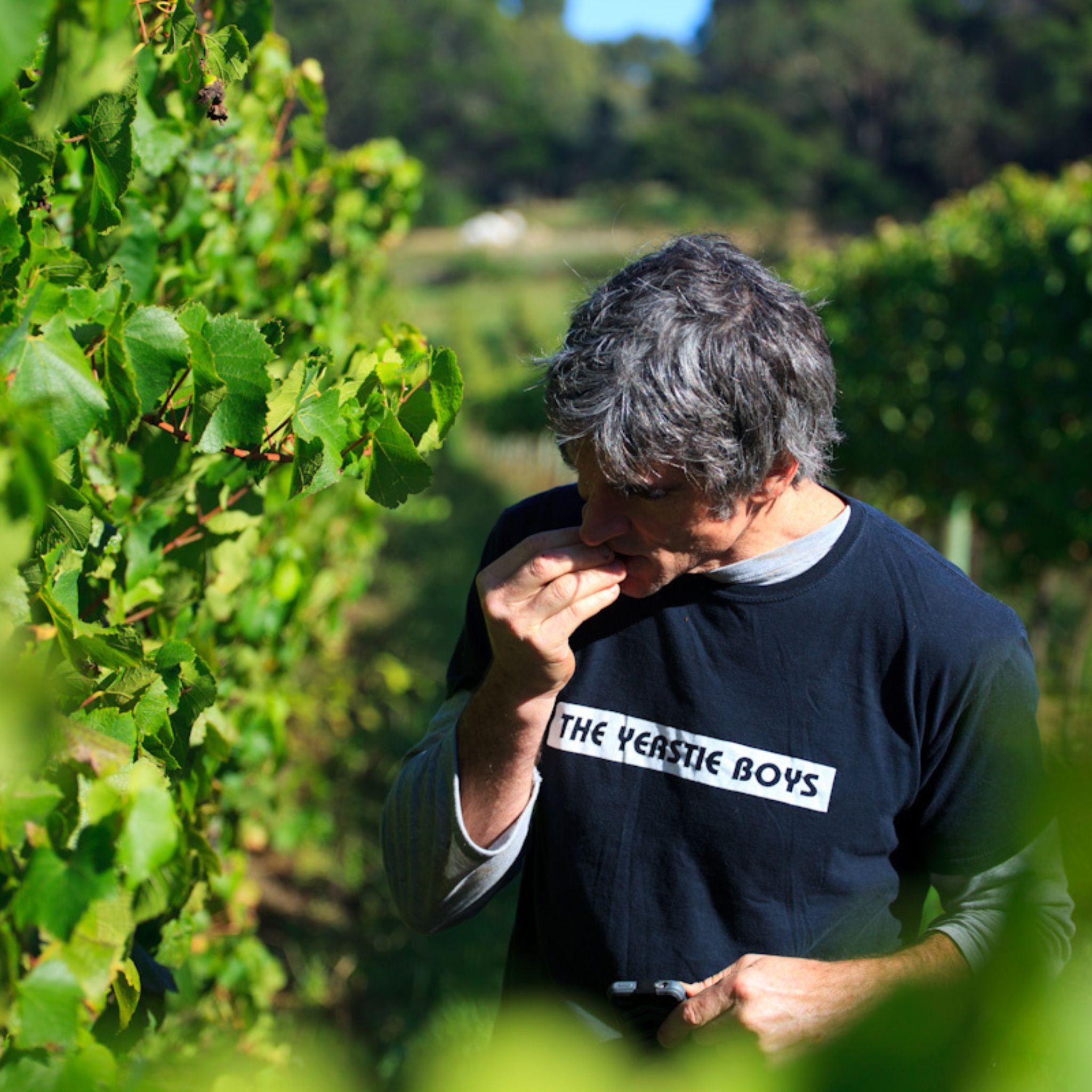 Giant Steps Wombat Creek Vineyard Pinot Noir 2022