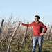 Cellar Master Sylvain Delord - Kent Street Cellars