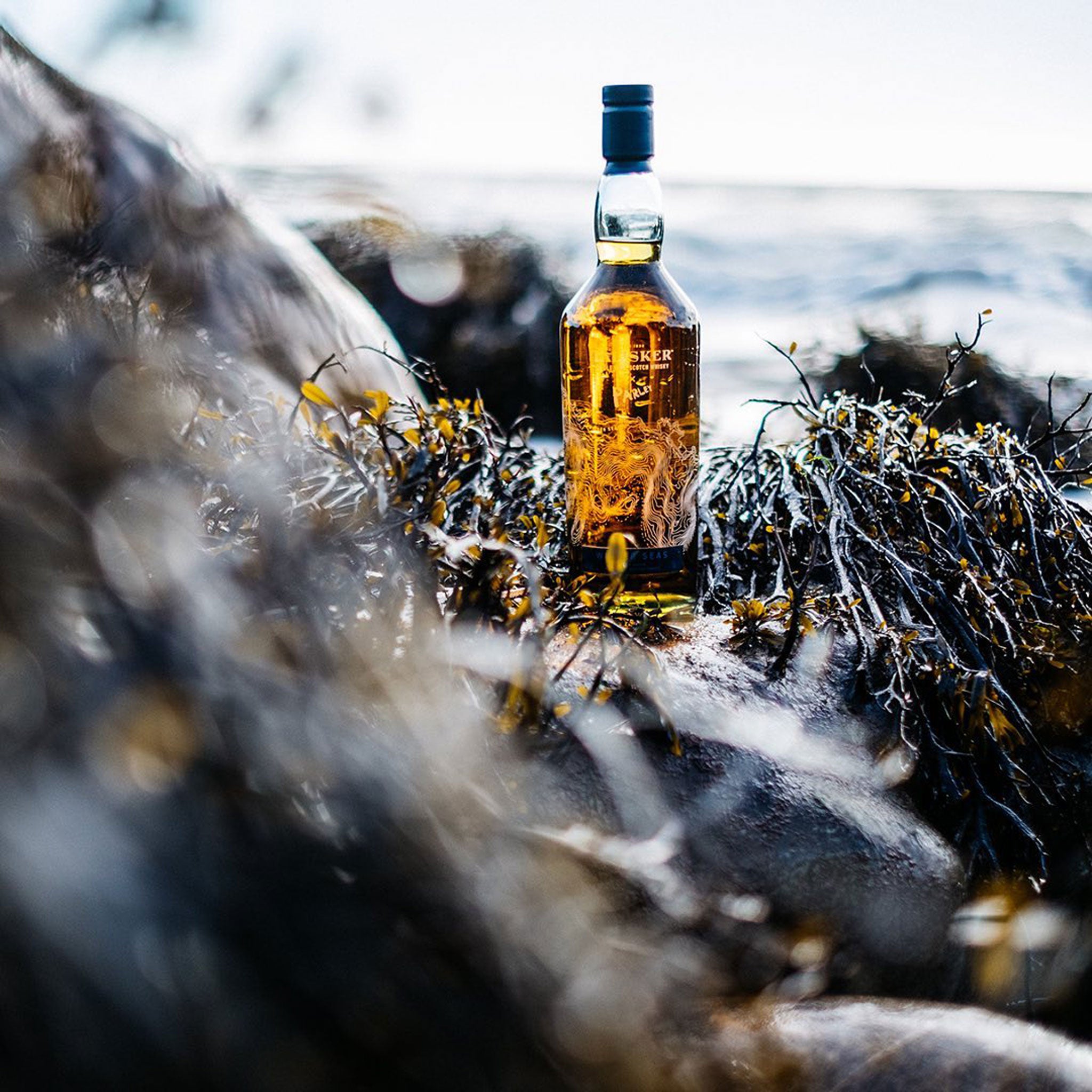 Talisker x Parley Wilder Seas Single Malt Scotch Whisky 700ml