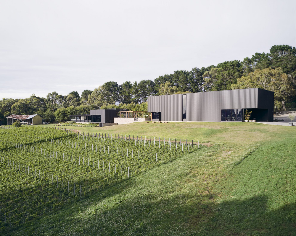 Ten Minutes By Tractor McCutcheon Pinot Noir 2021 - Kent Street Cellars