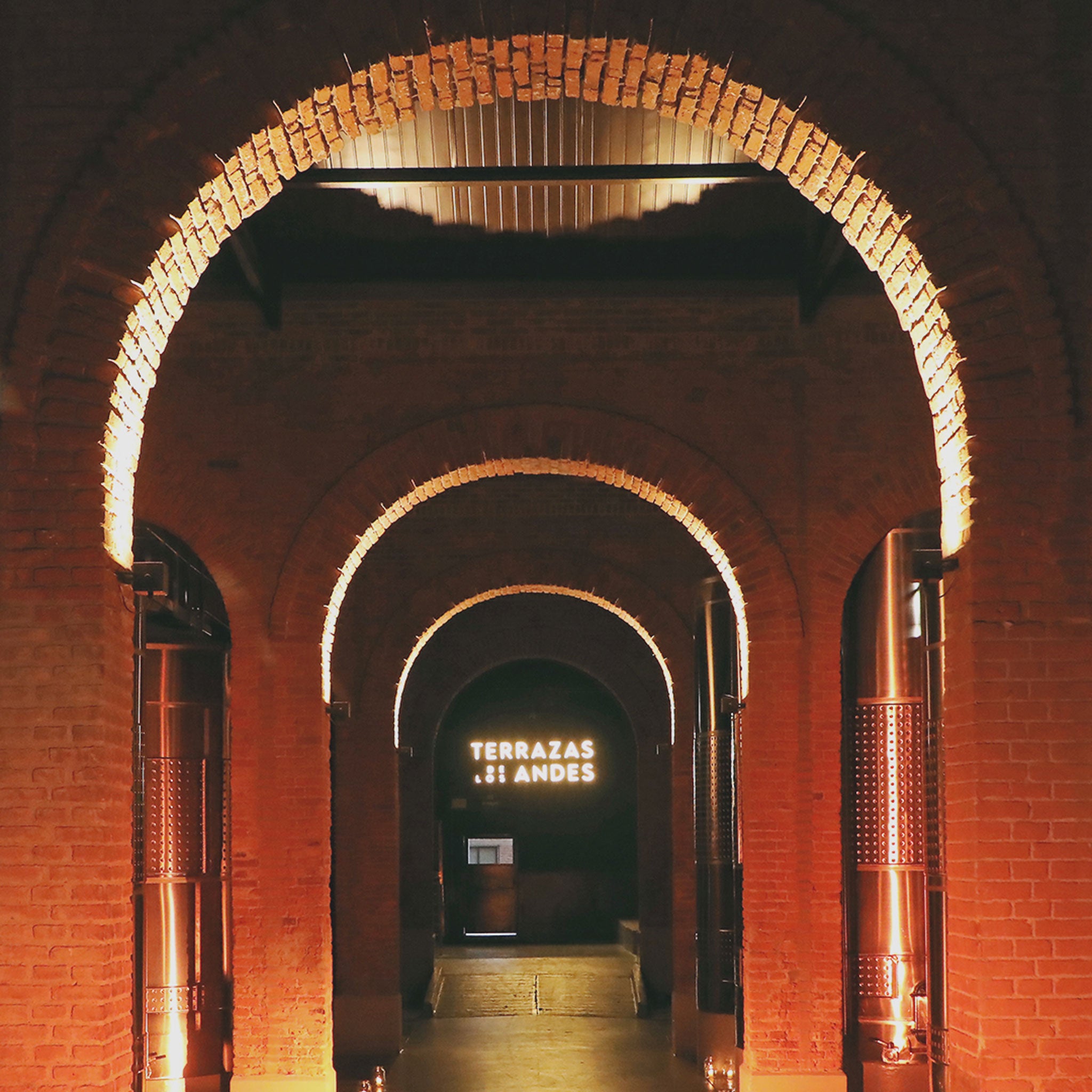 Terrazas de los Andes