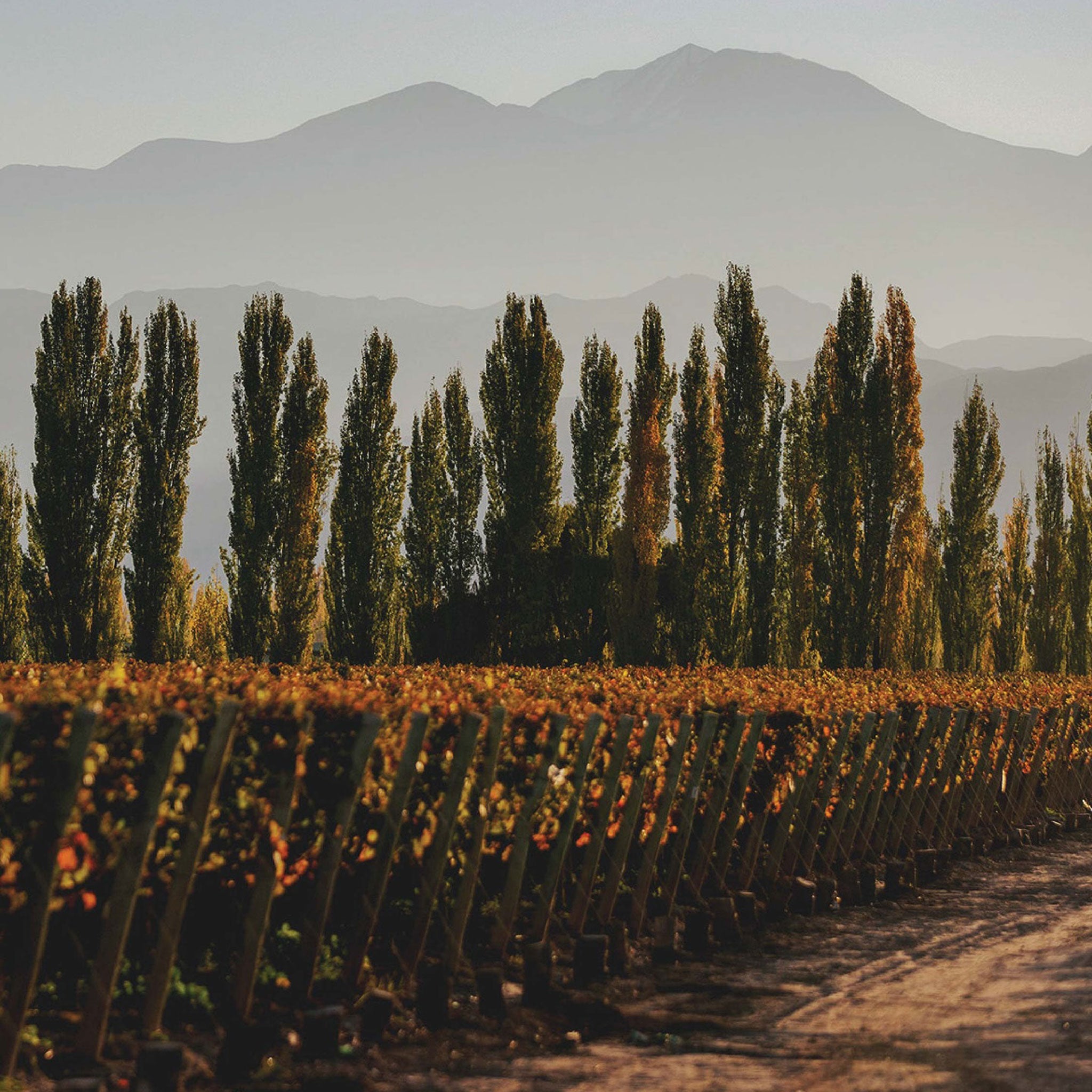 Philosophy | Terrazas de los Andes