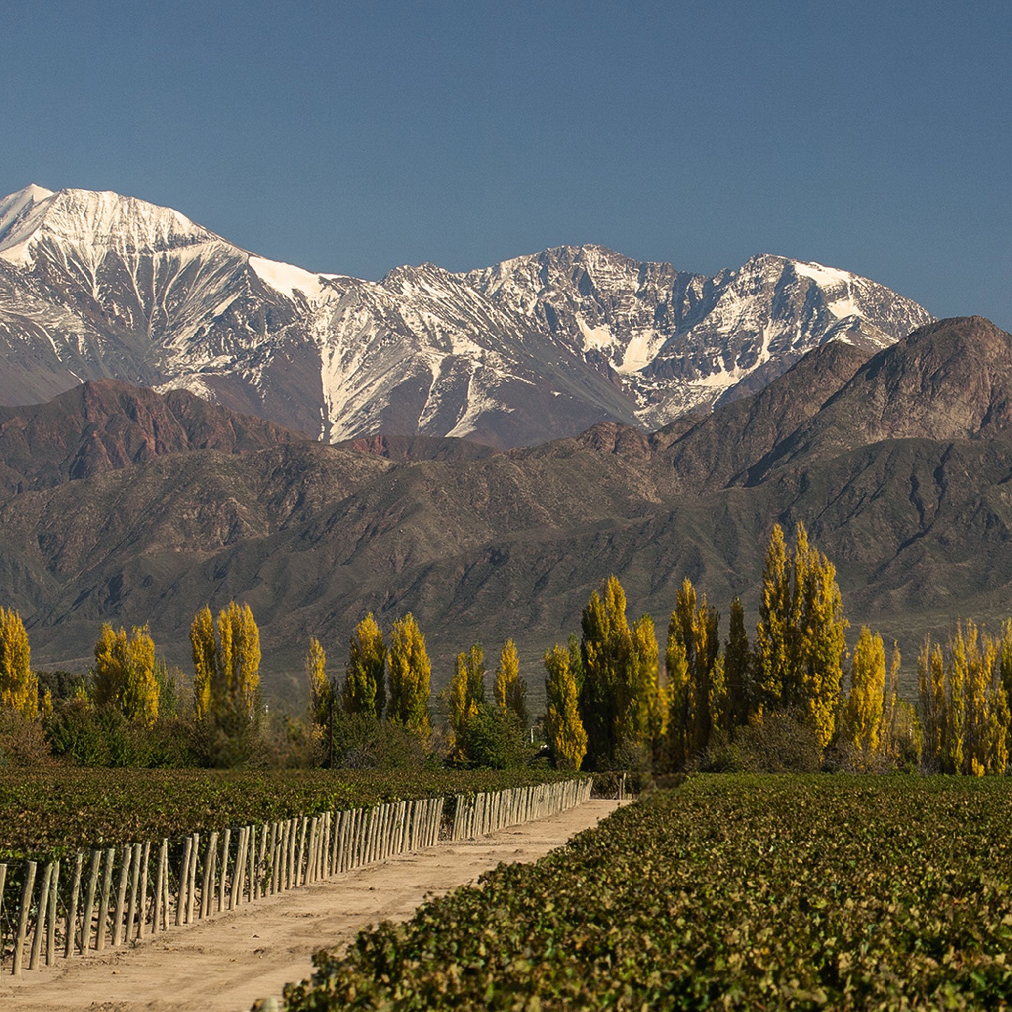 Terrazas Reserva Malbec 2023