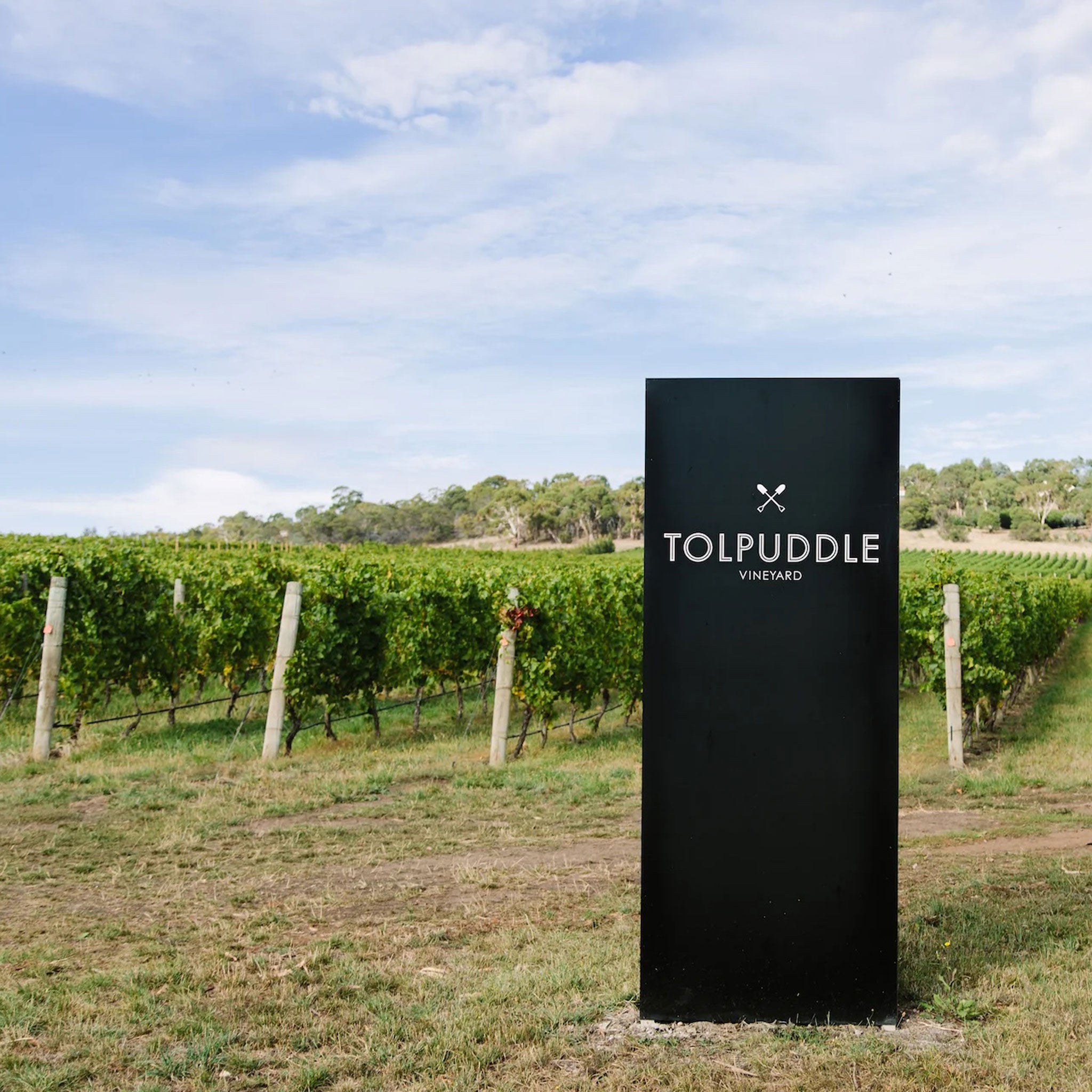 Tolpuddle