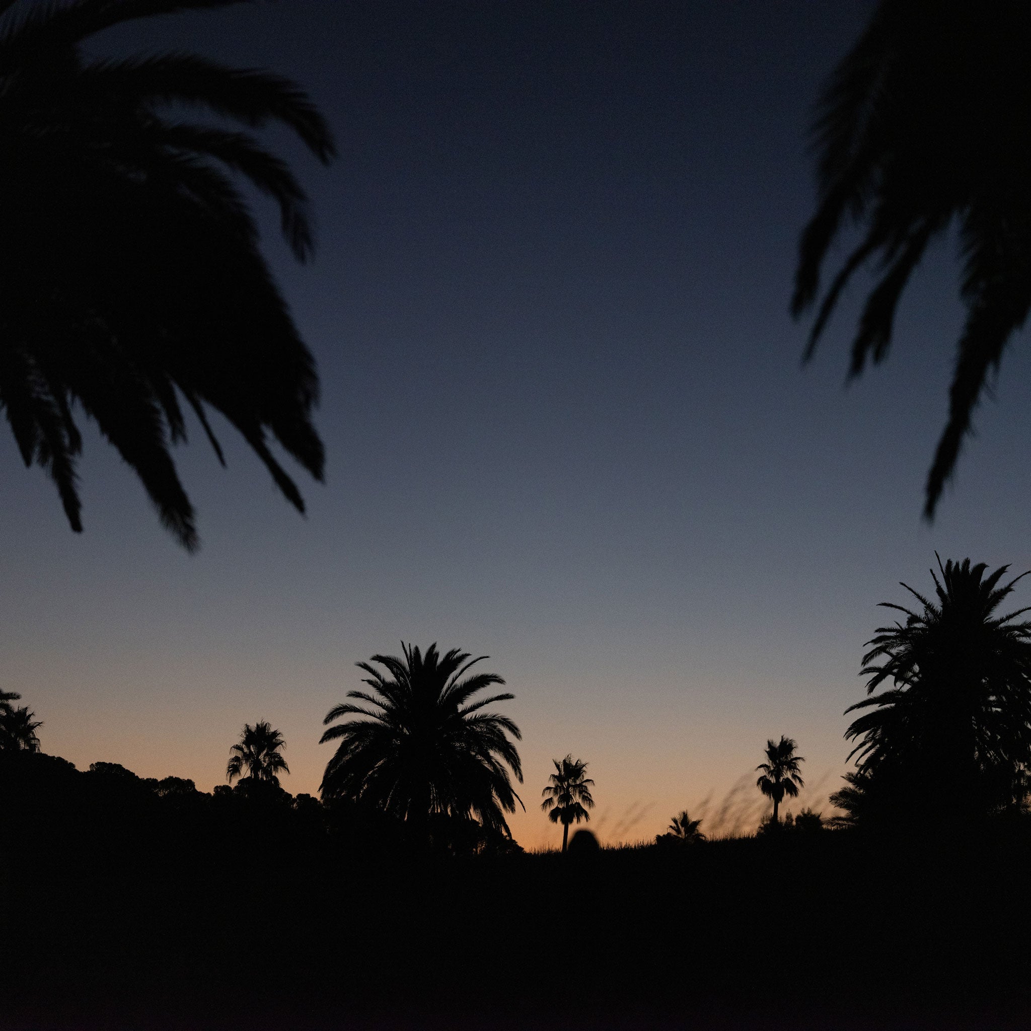 Torbreck The Laird 2017 1.5L